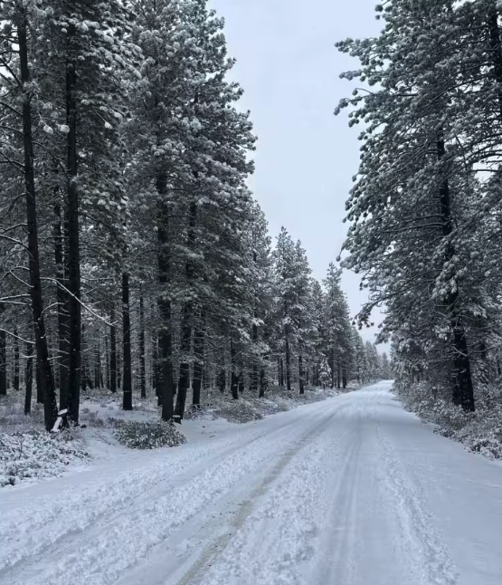 Forest Road 4100-000