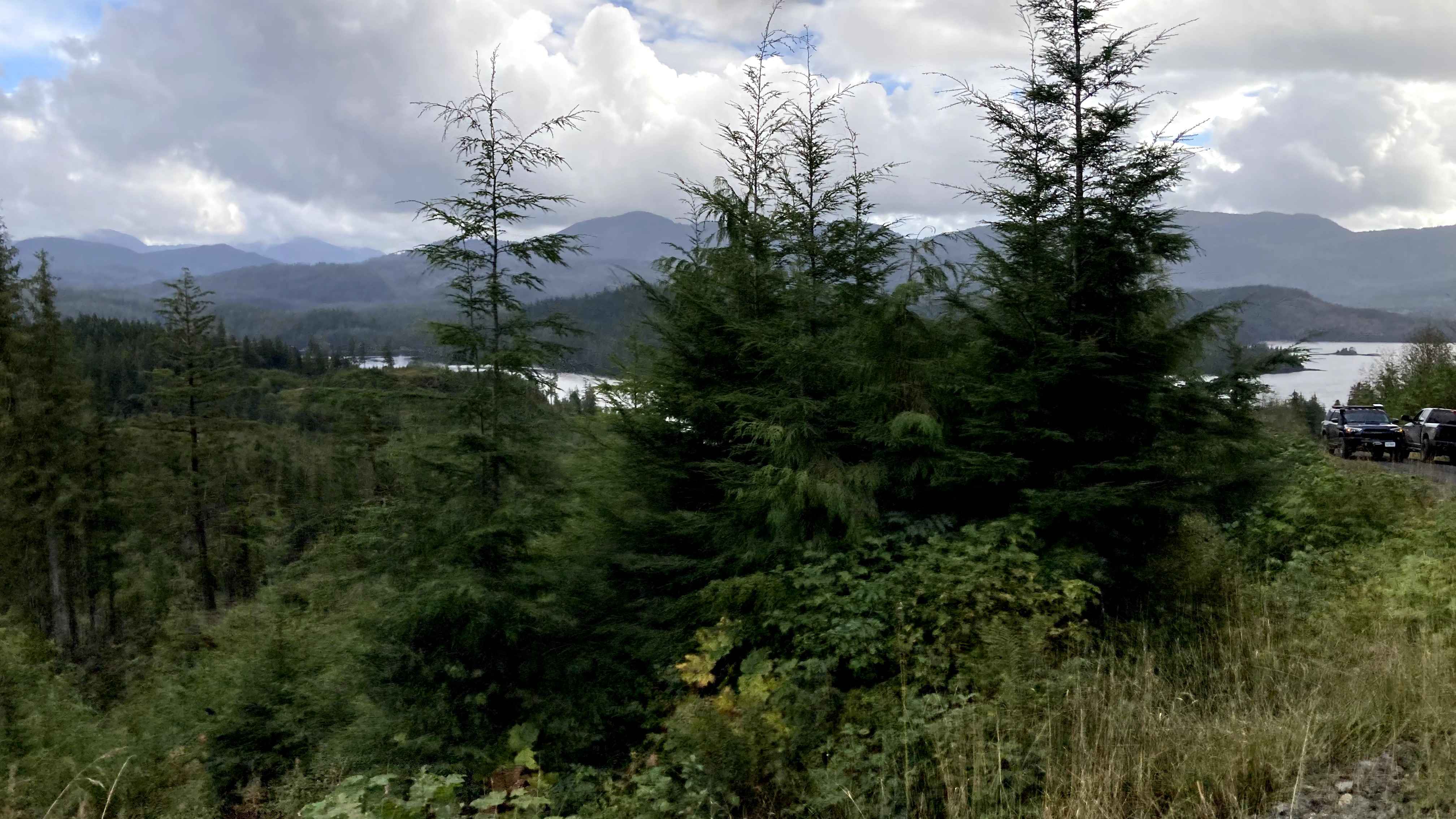 Shelter Cove Road (section 1)