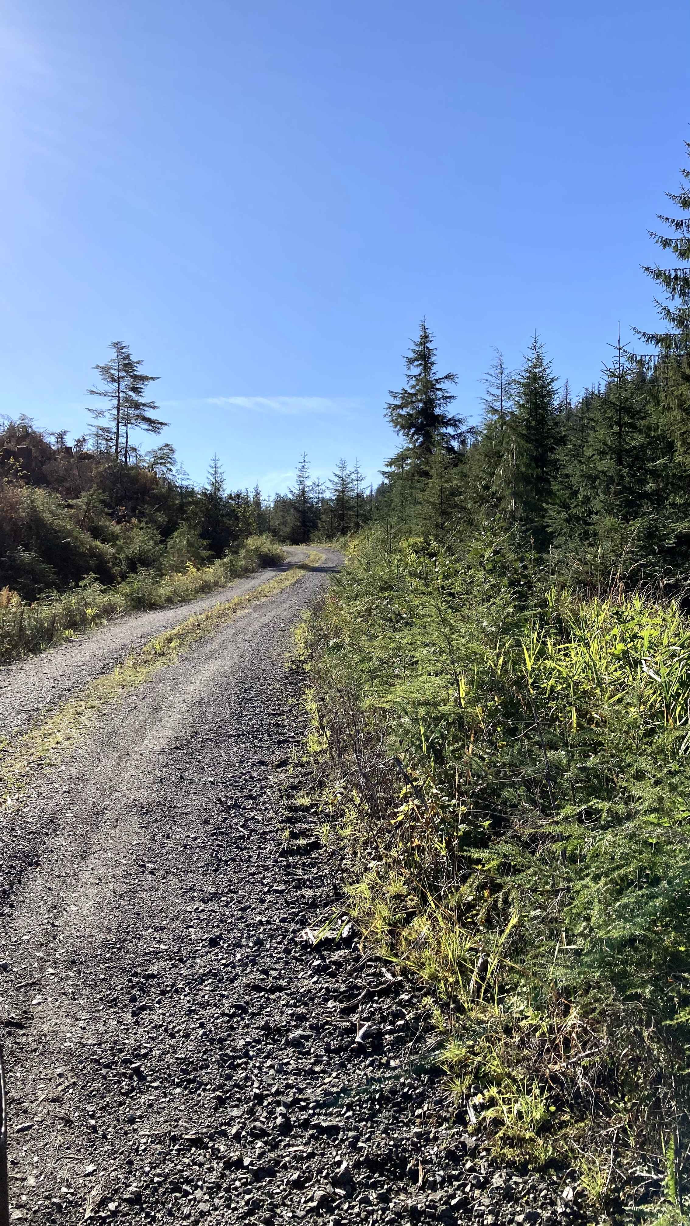 Shelter Cove 8300000