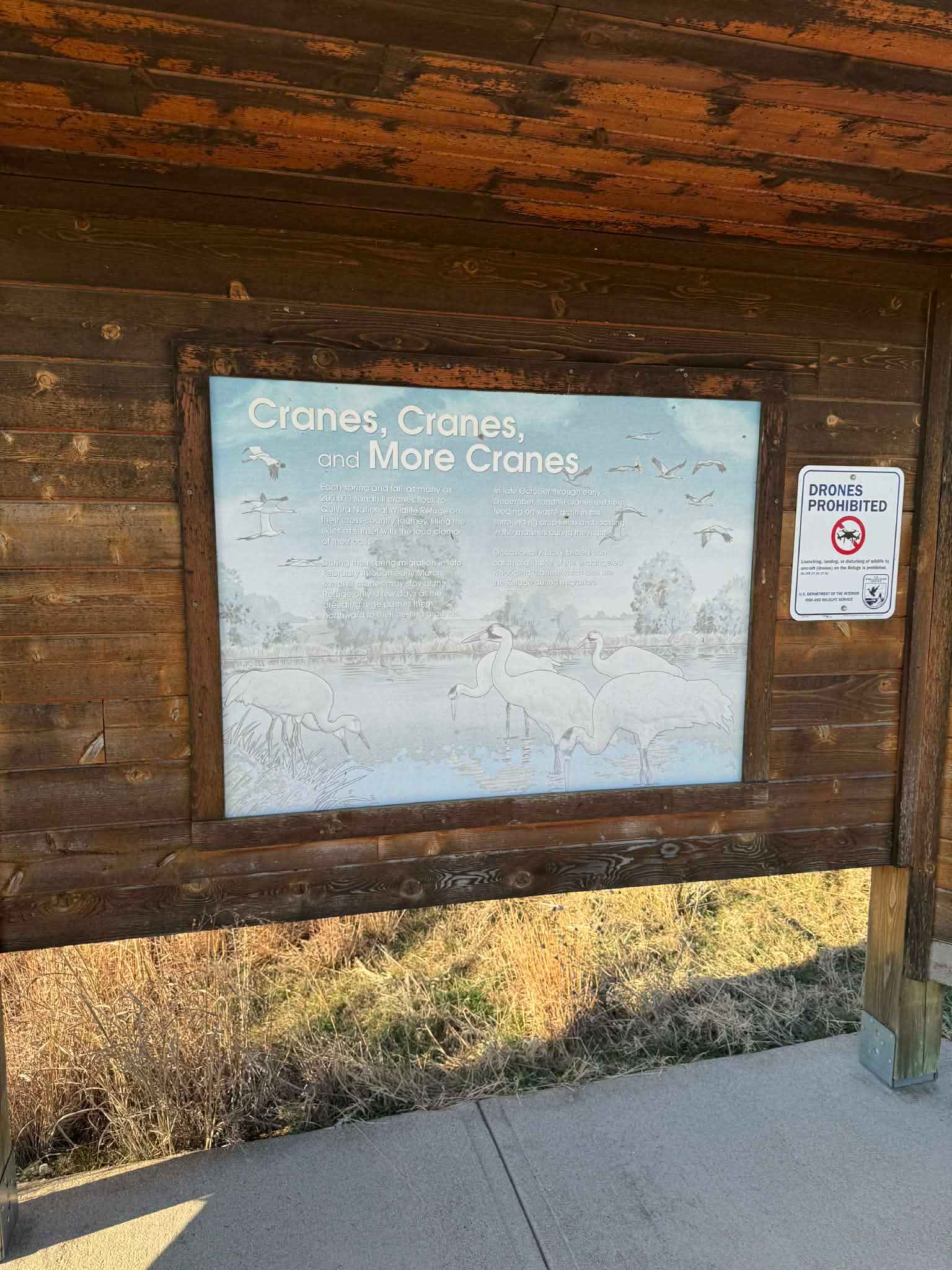 Little Salt Marsh Road