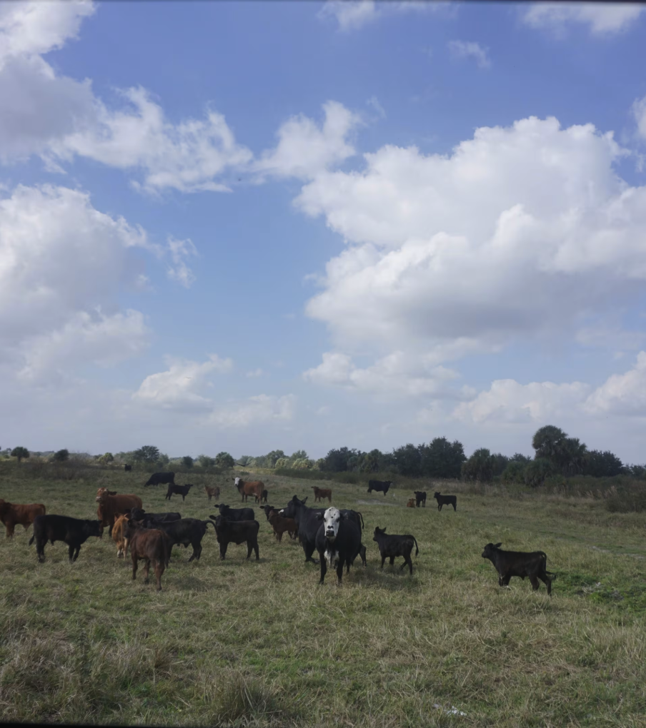 Road 10 Continuation