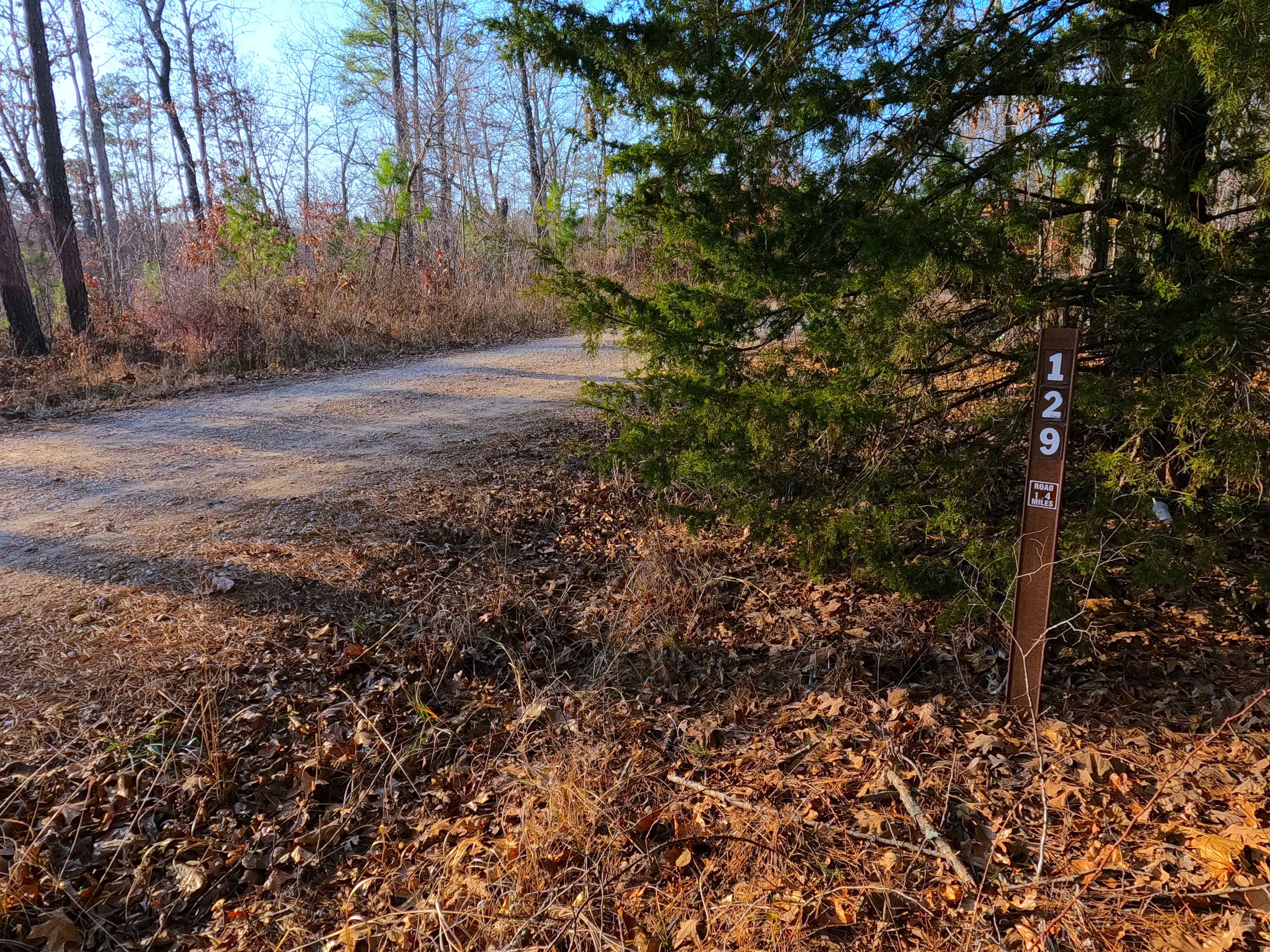 Upper Greasy Creek - FS 129