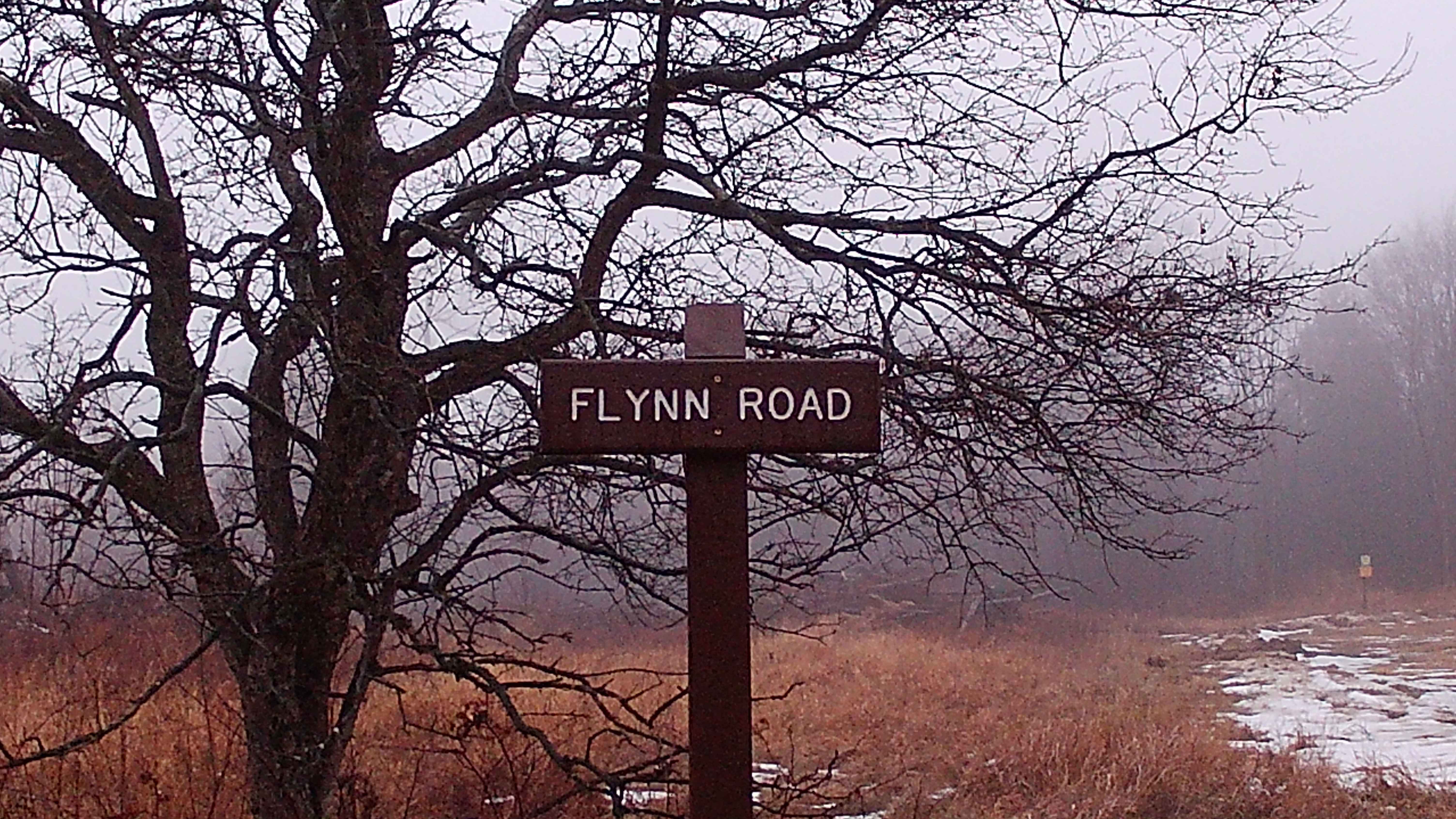 Flynn Road