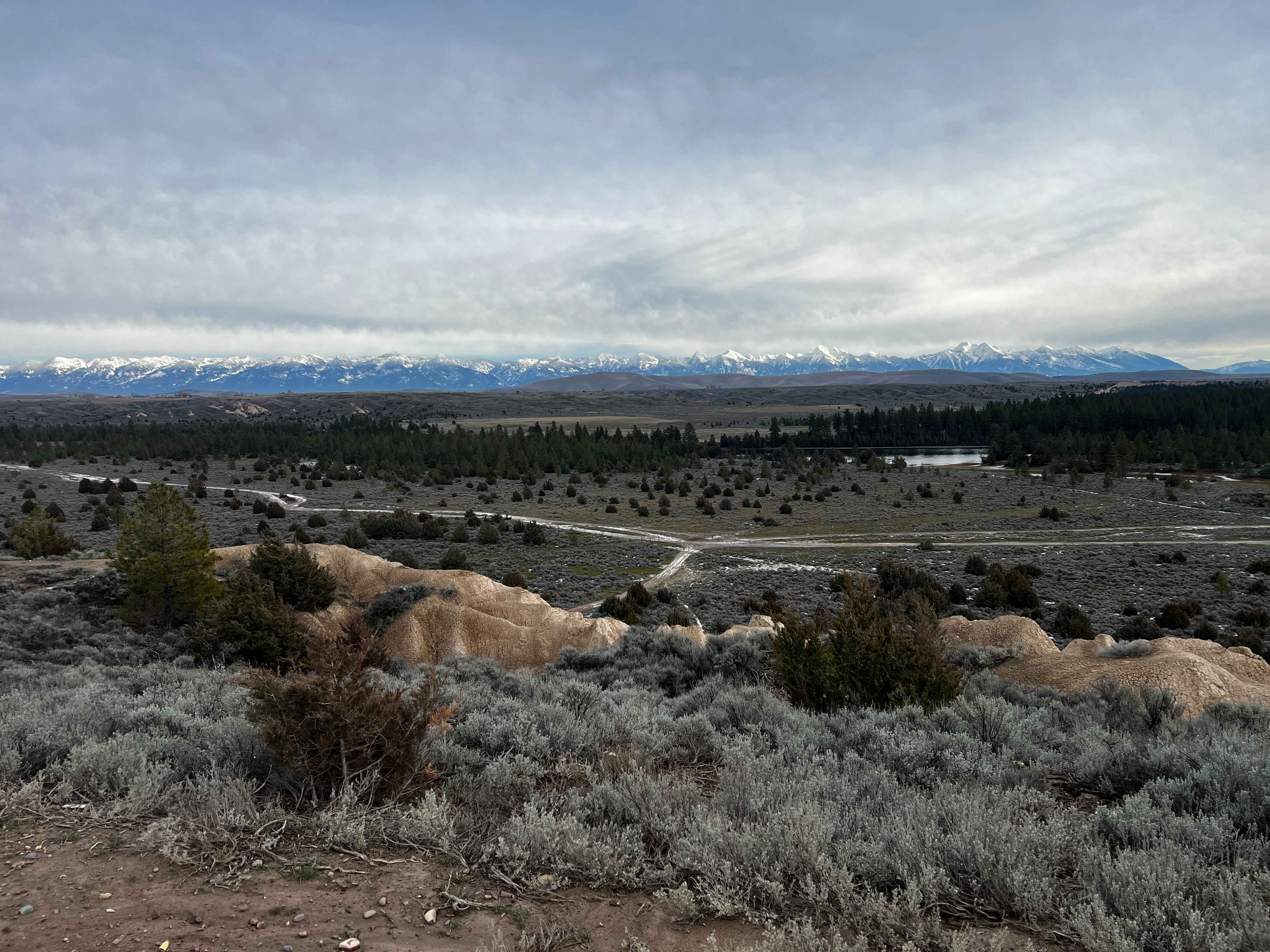 Buffalo Bridge - West