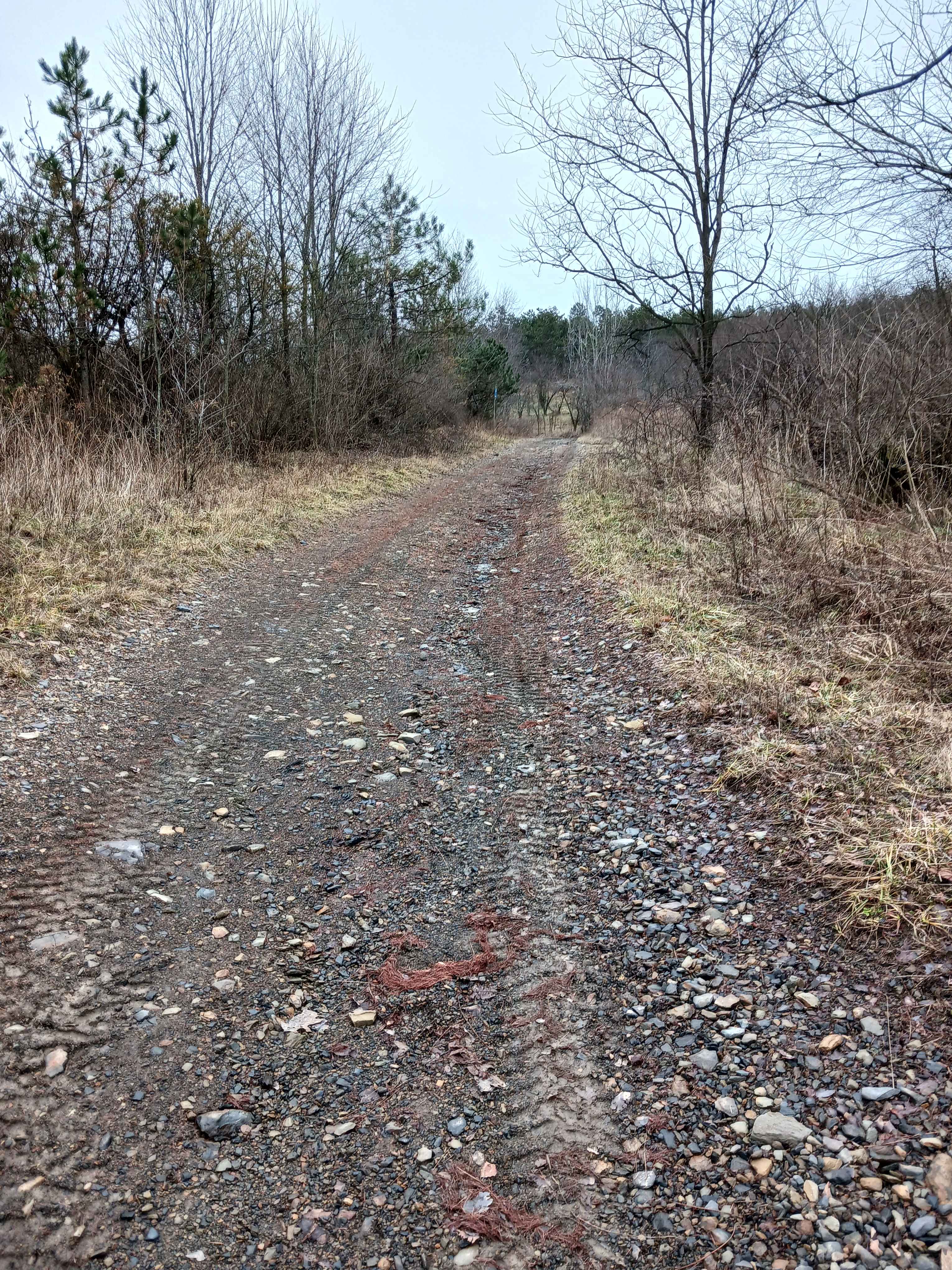 Trail 5E - Rock Run Recreation Area