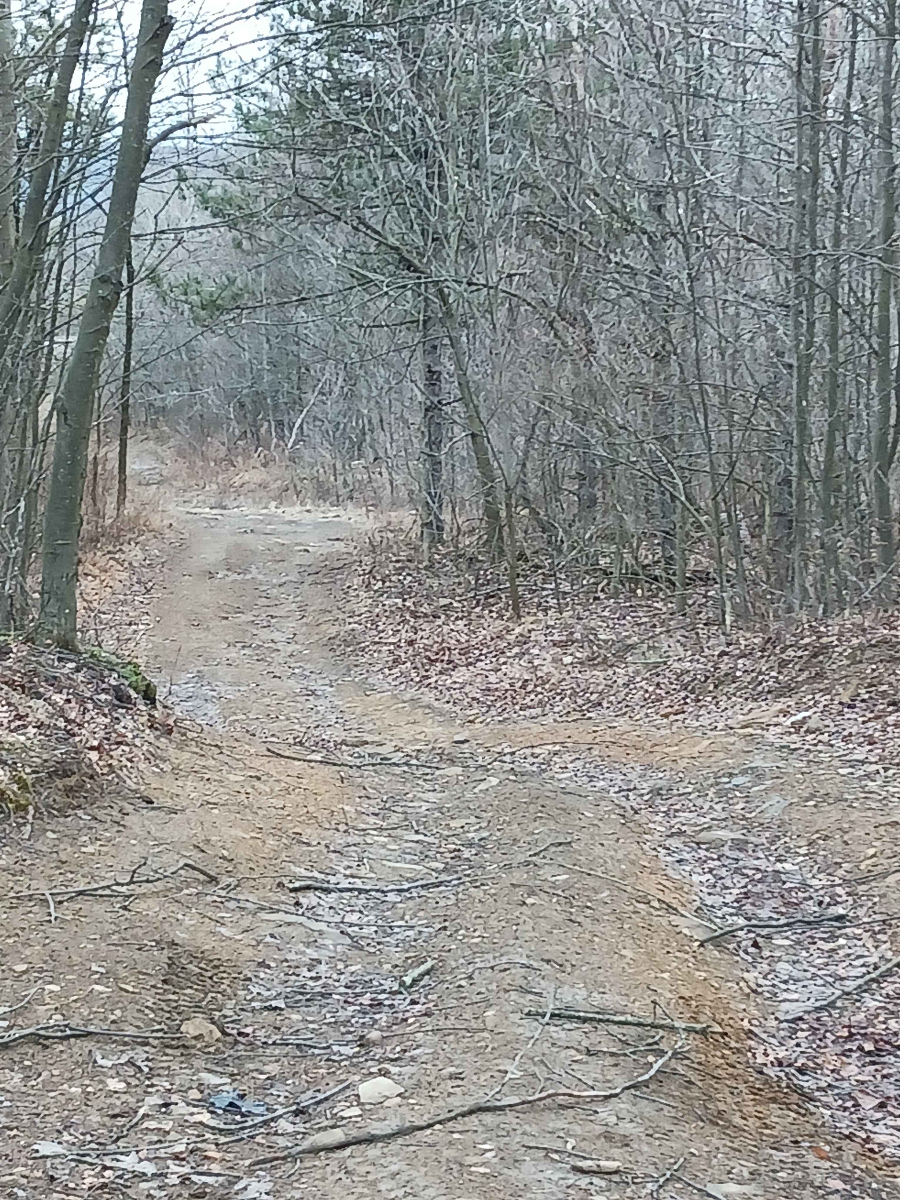Trail 5E - Rock Run Recreation Area