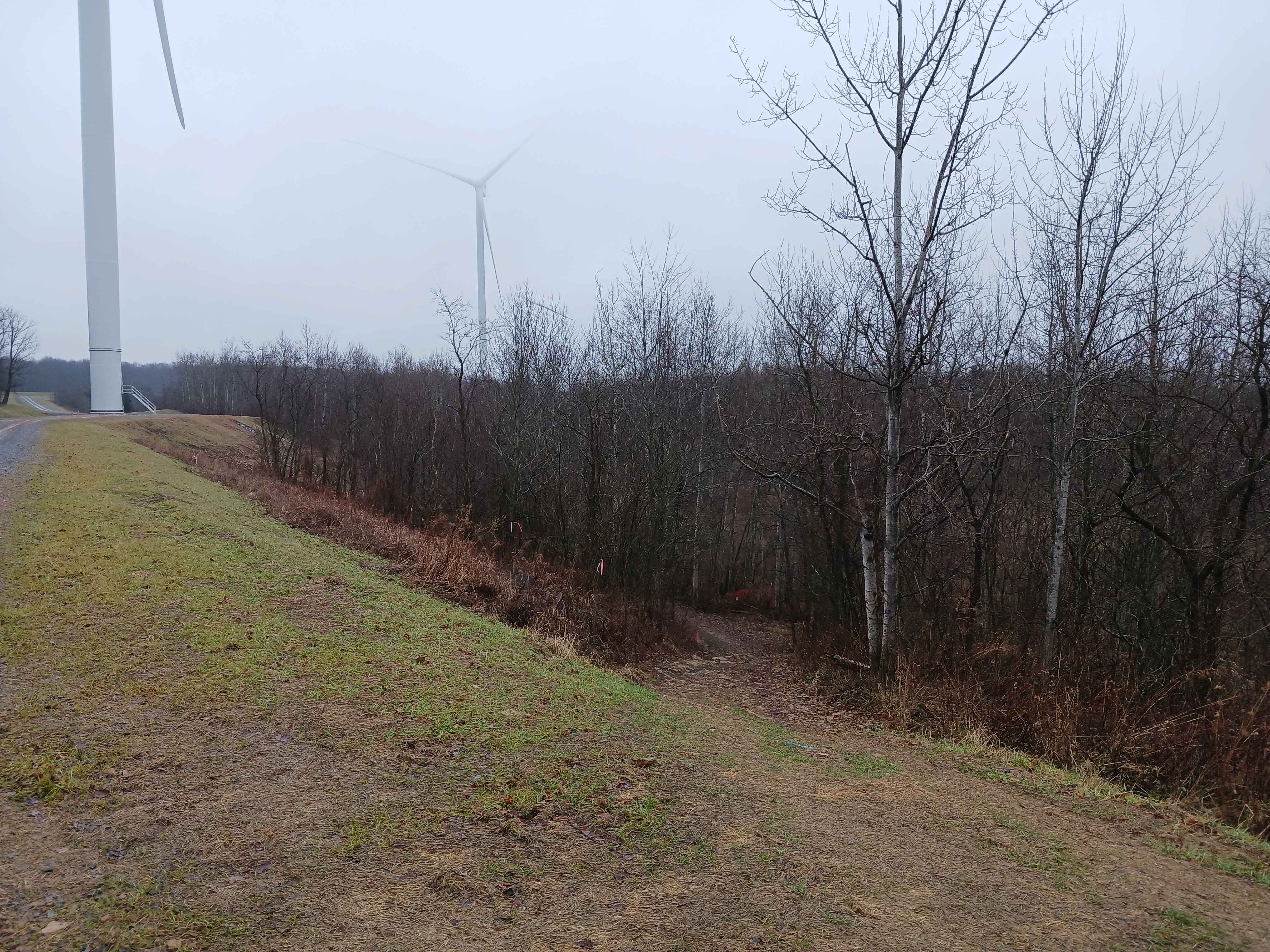 Rouge's Path - Rock Run Recreation Area