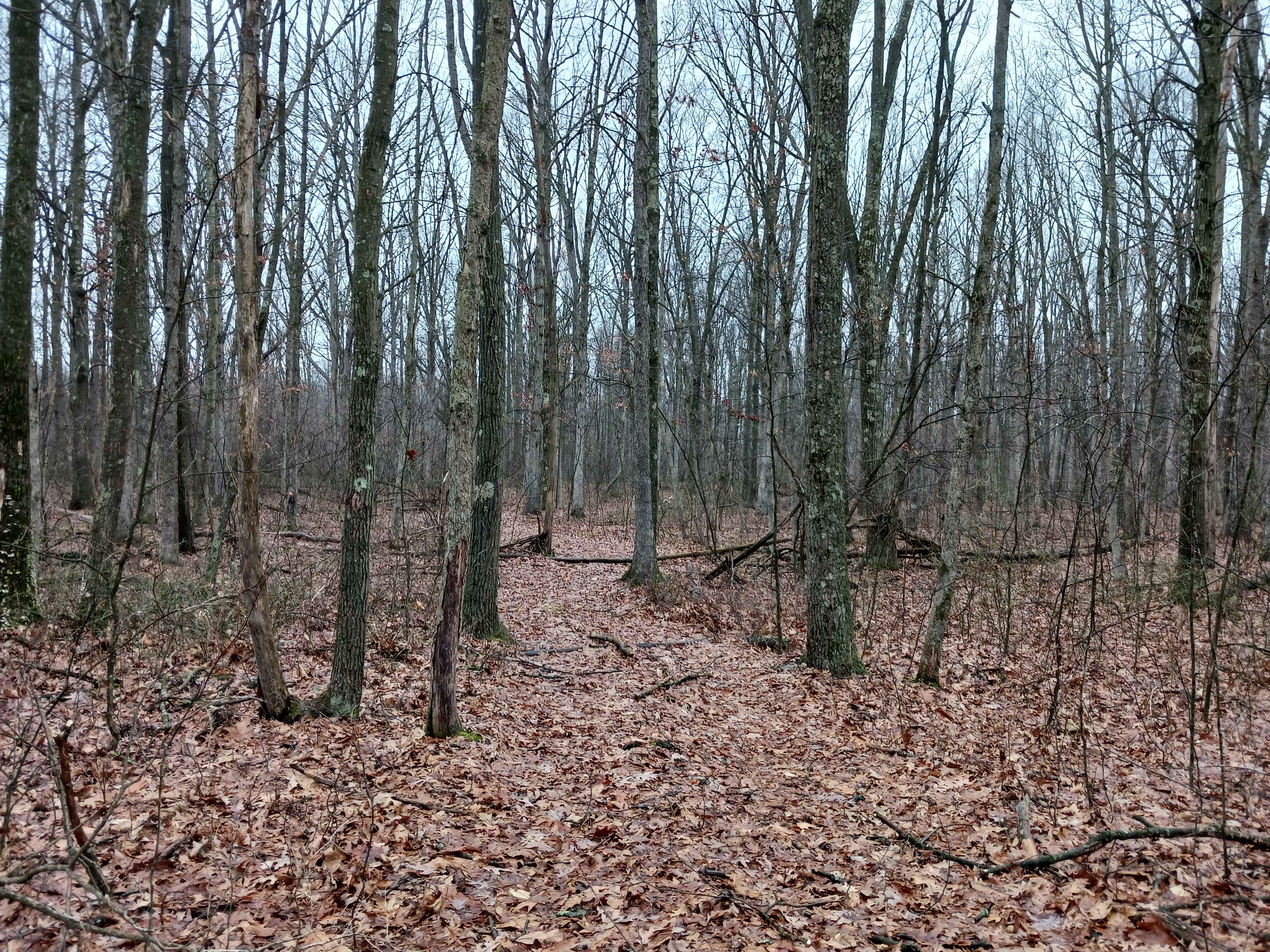 OHV 45 - Rock Run Recreation Area