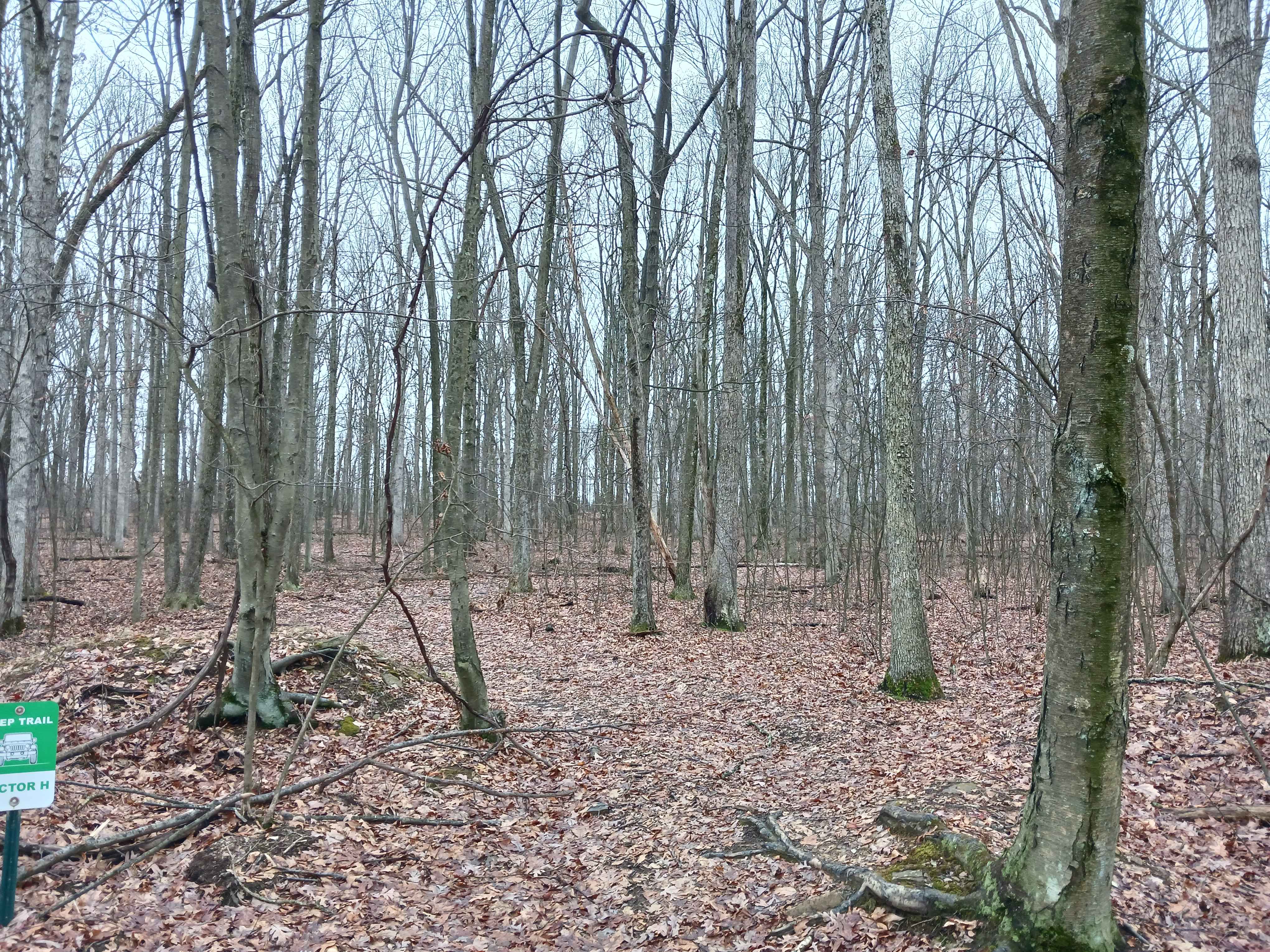 OHV 45 - Rock Run Recreation Area