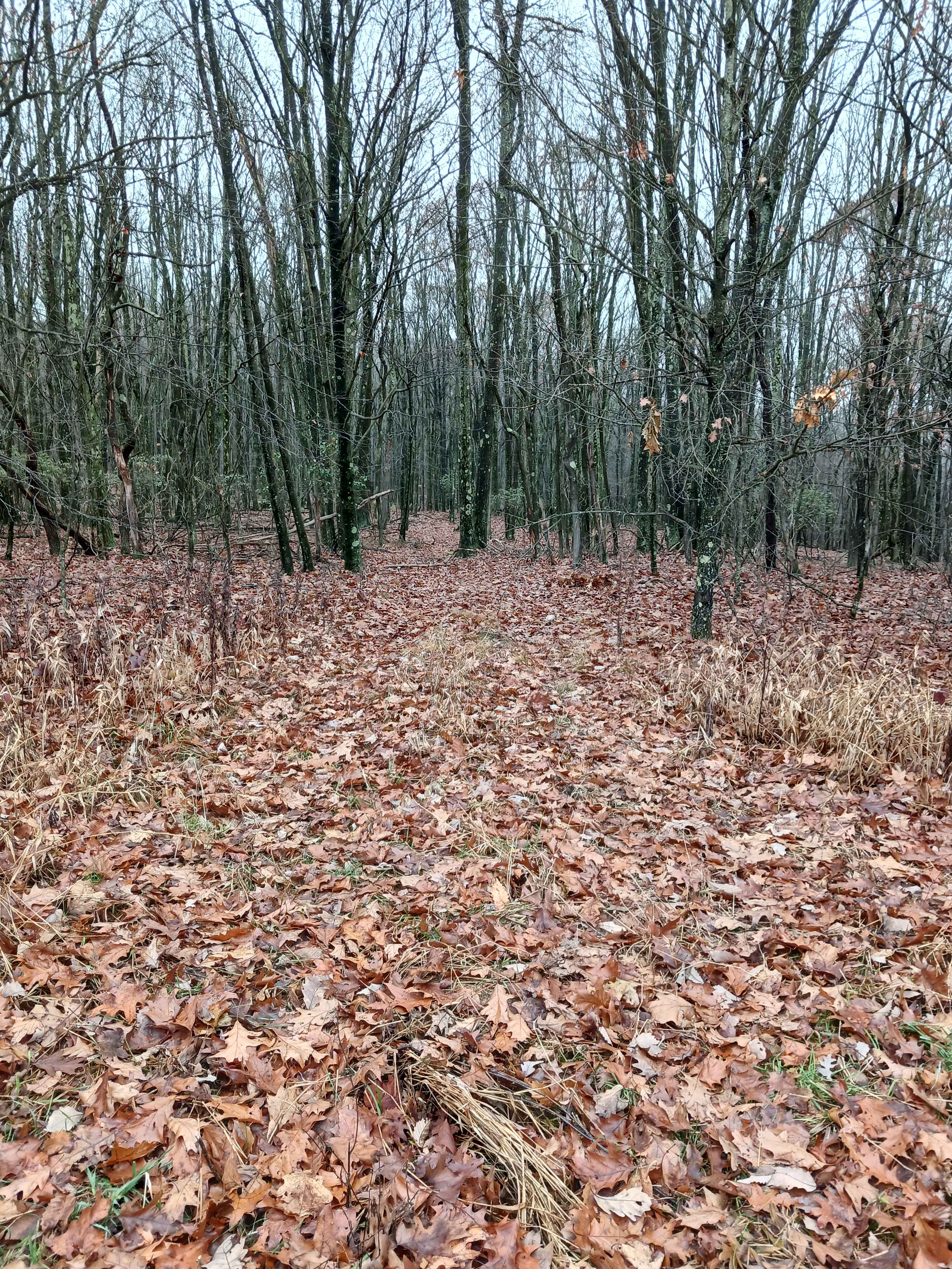 OHV 37 - Rock Run Recreation Area