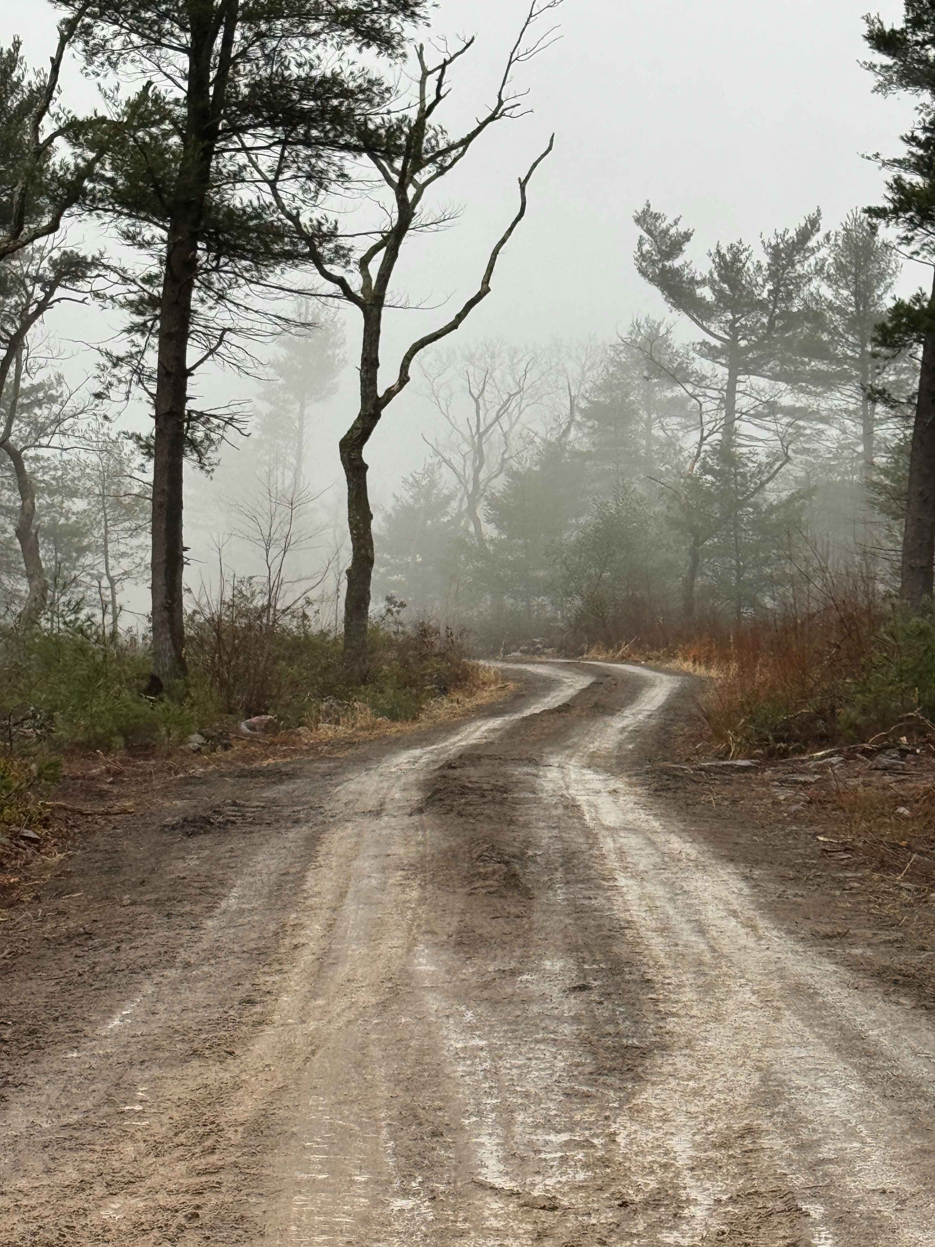 High Top Trail Green