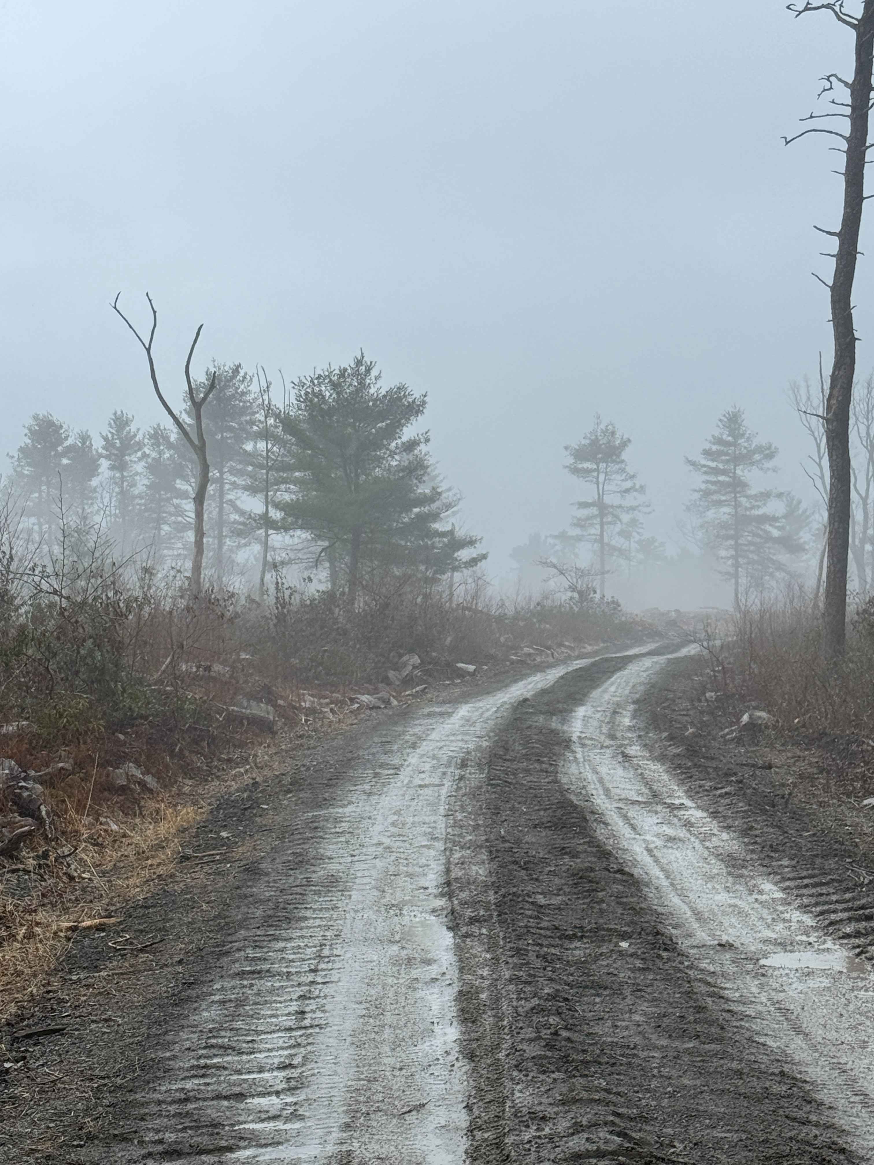 High Top Trail Green