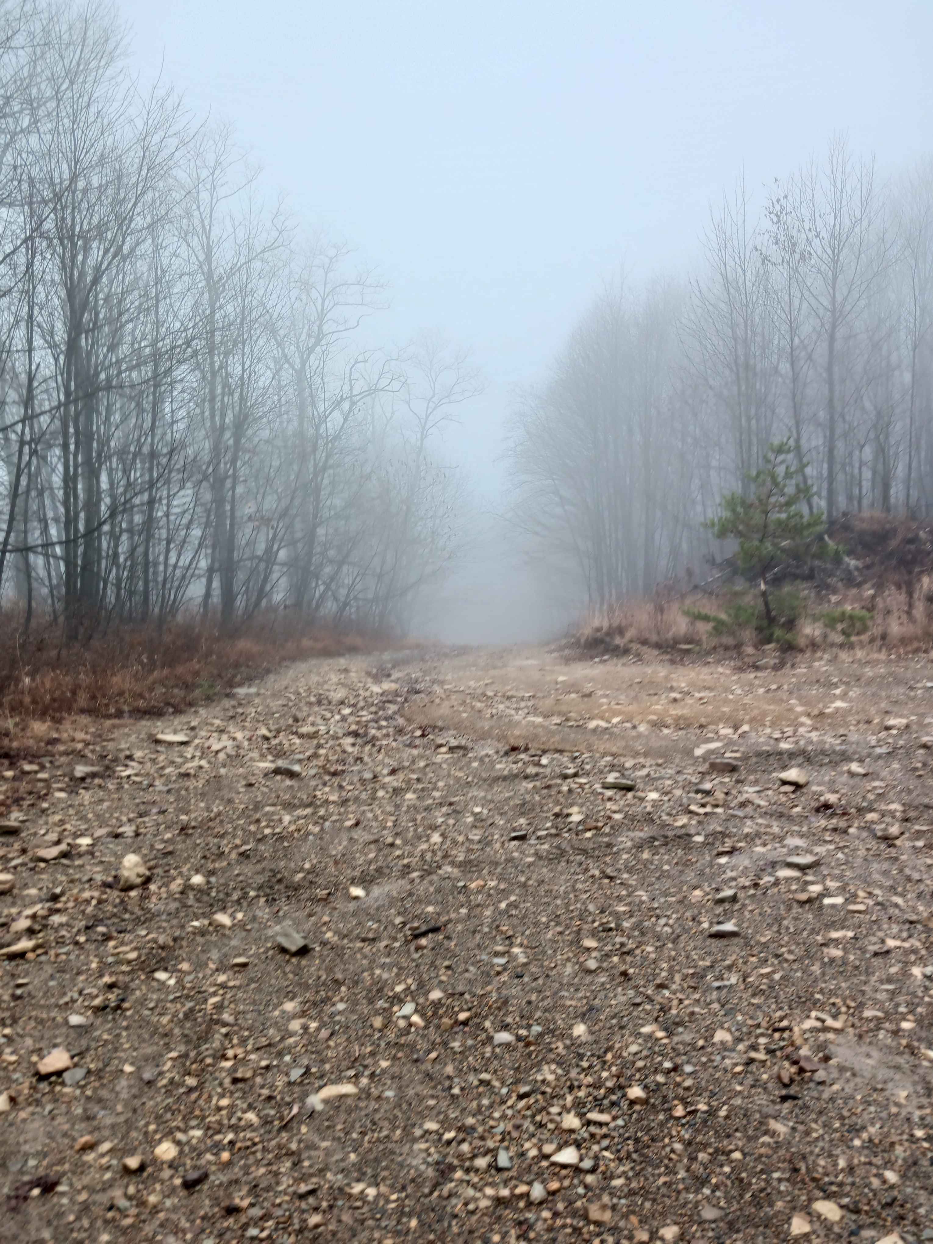 Boomerang - Rock Run Recreation Area