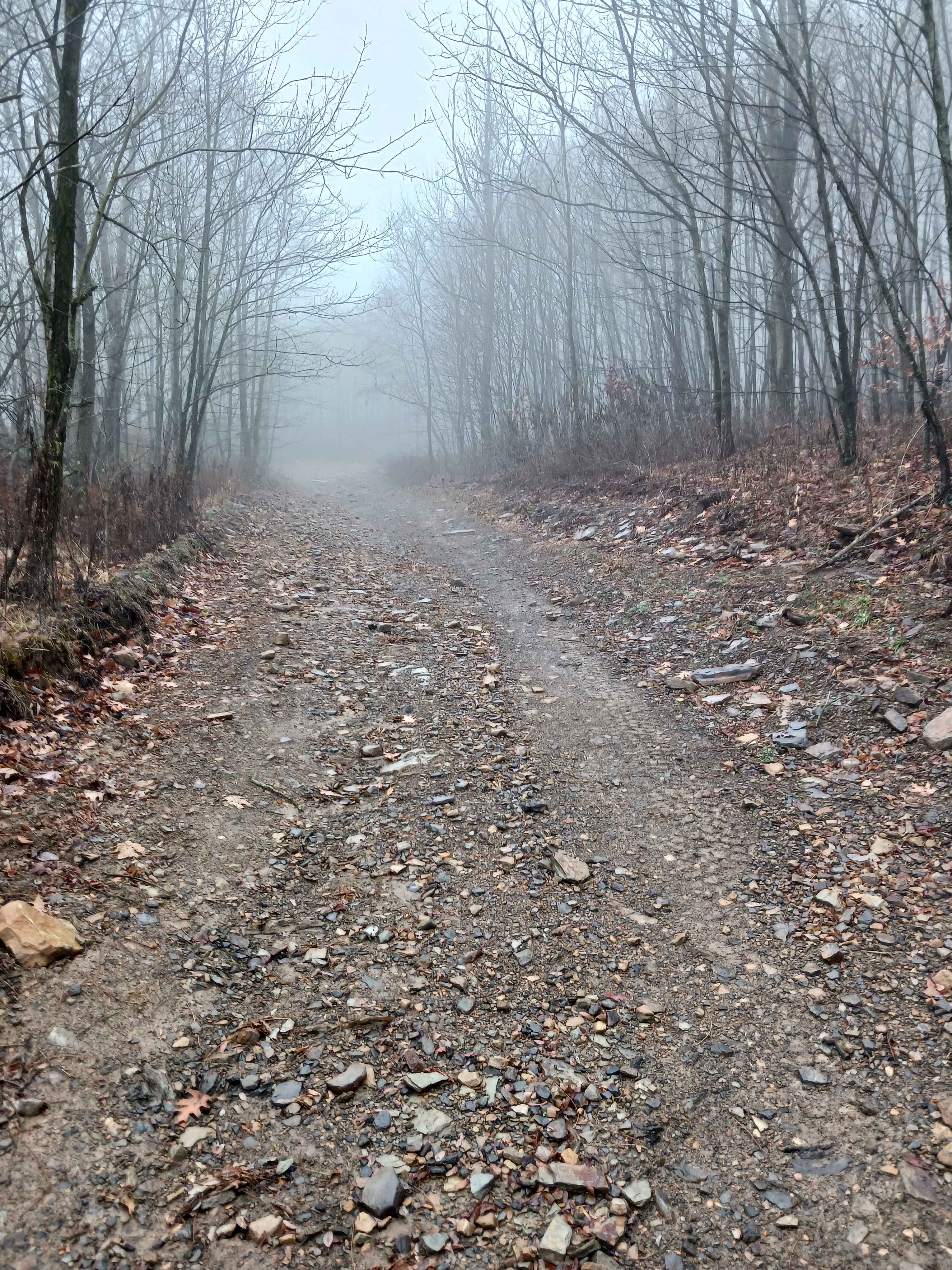 Boomerang - Rock Run Recreation Area