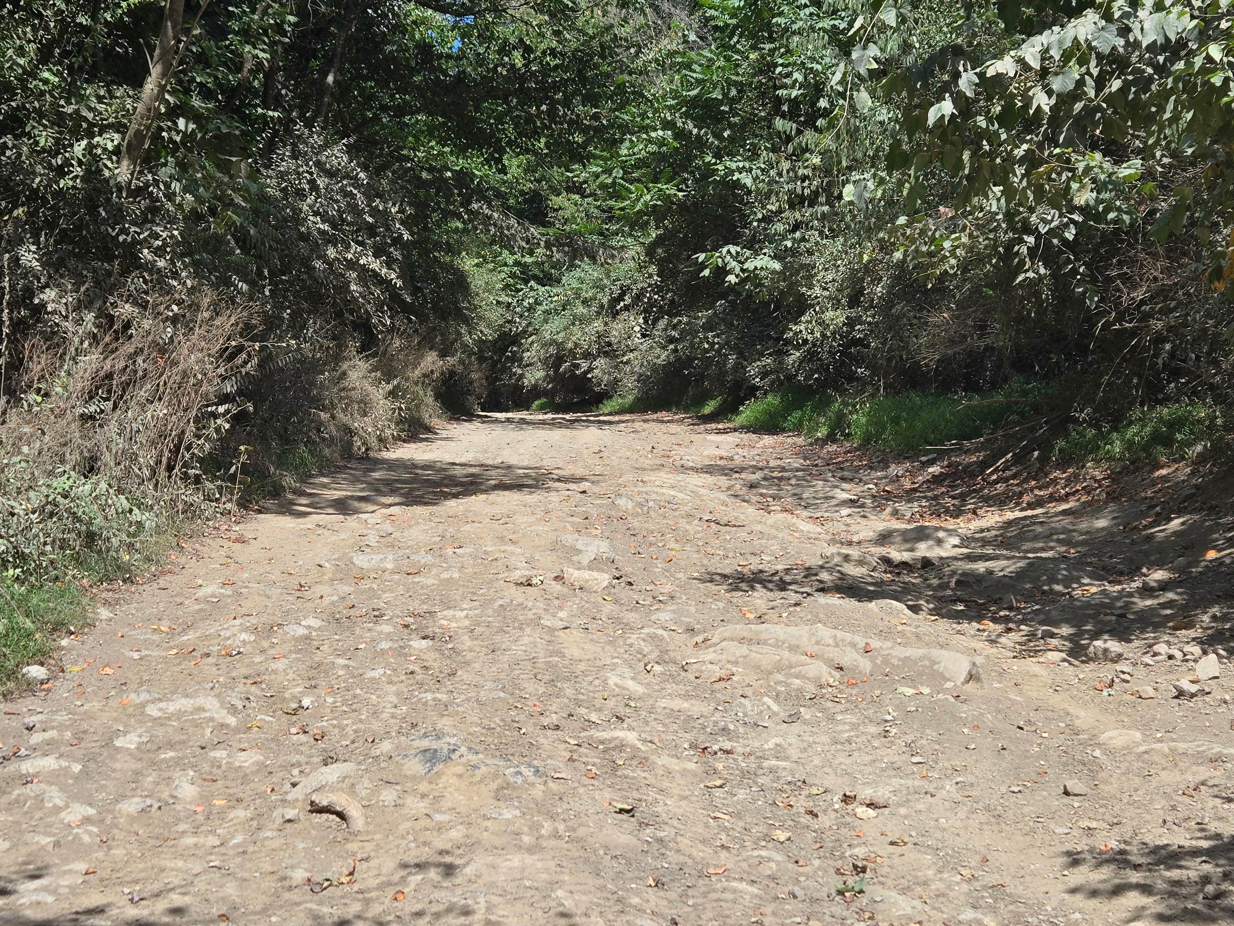 Trail 2