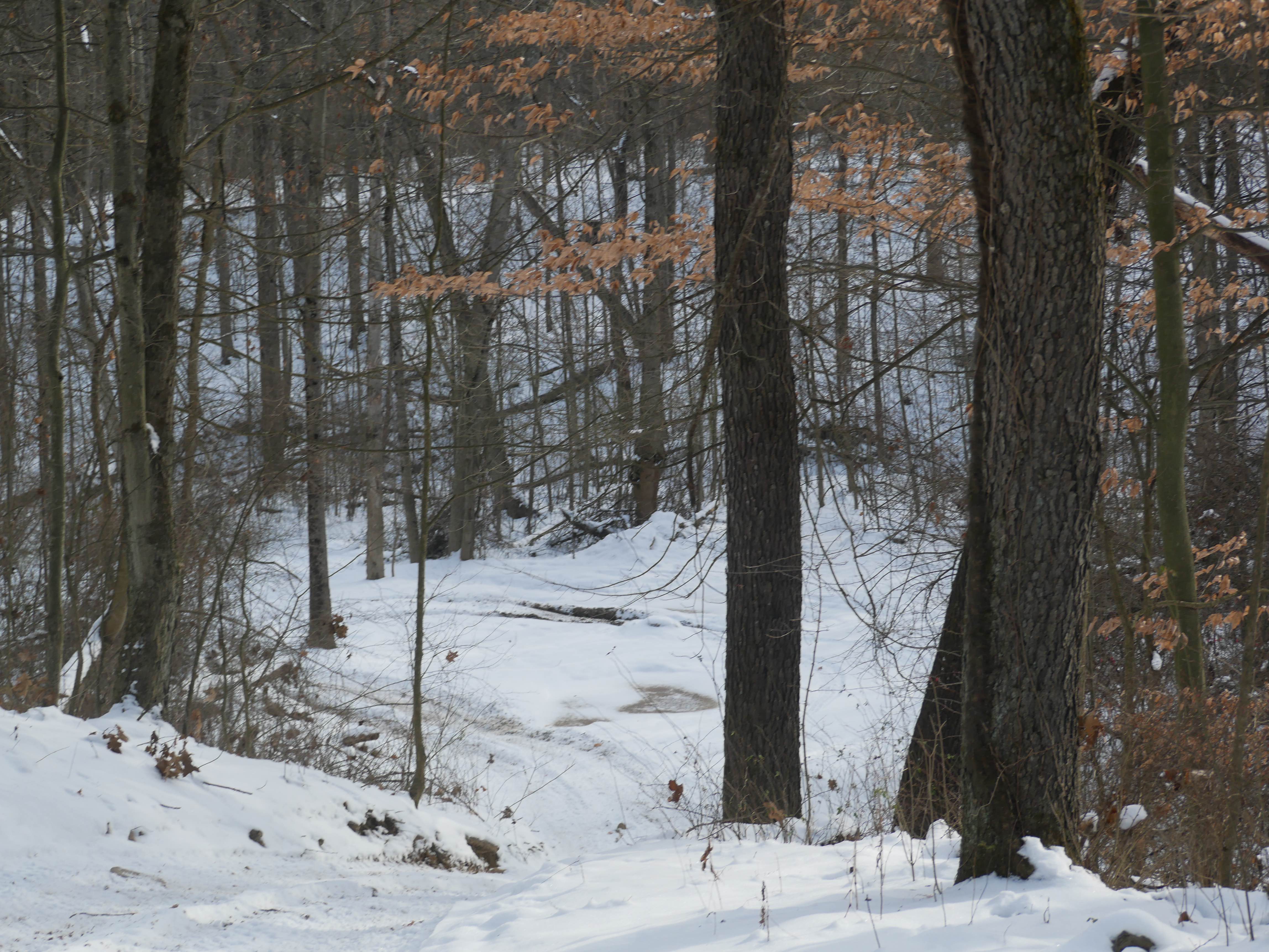 Trail 23, Pennsylvania - GPS Trail Map, Conditions & Difficulty | onX ...