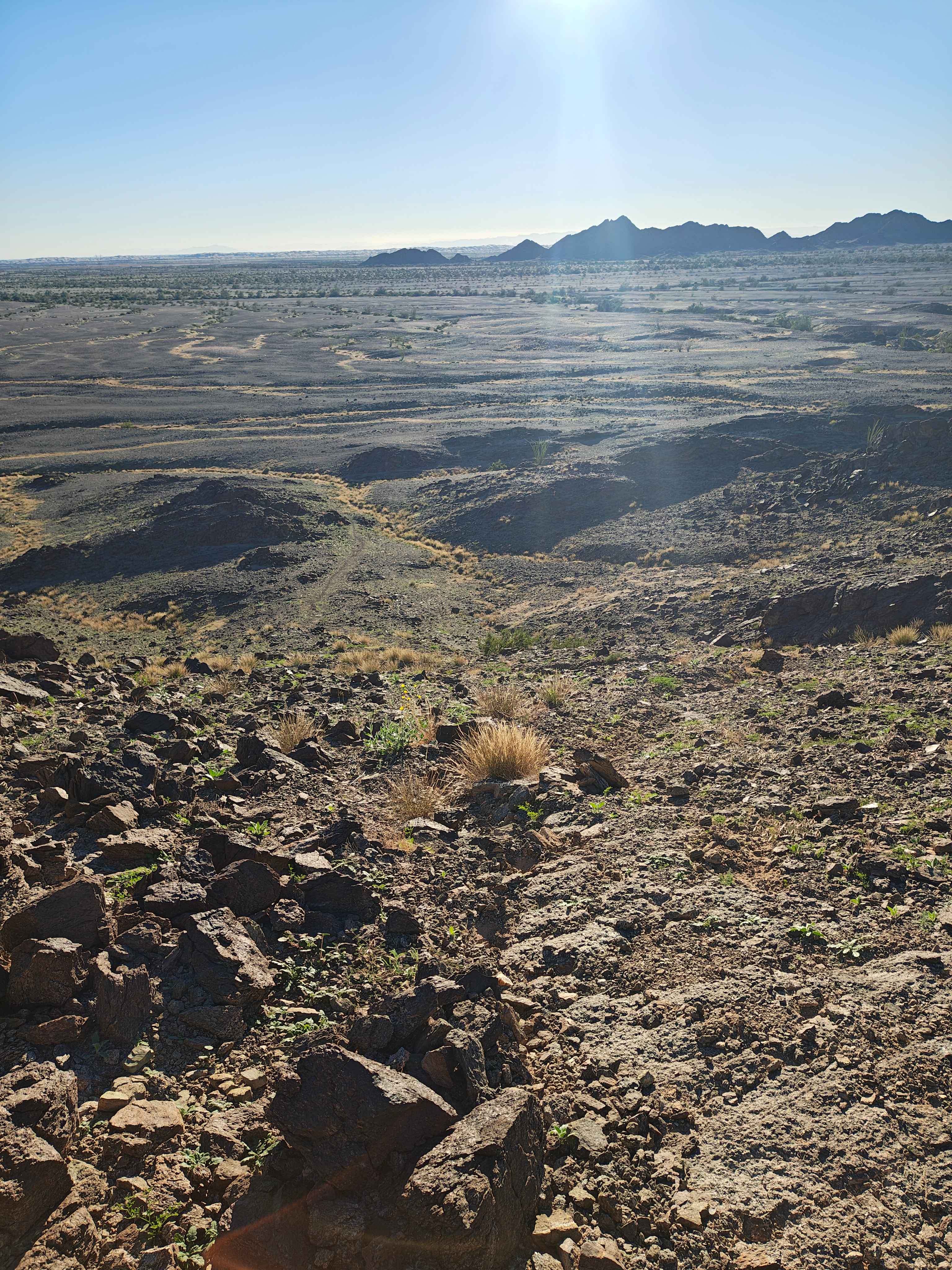 Pasadena Mountain Express - Single Track