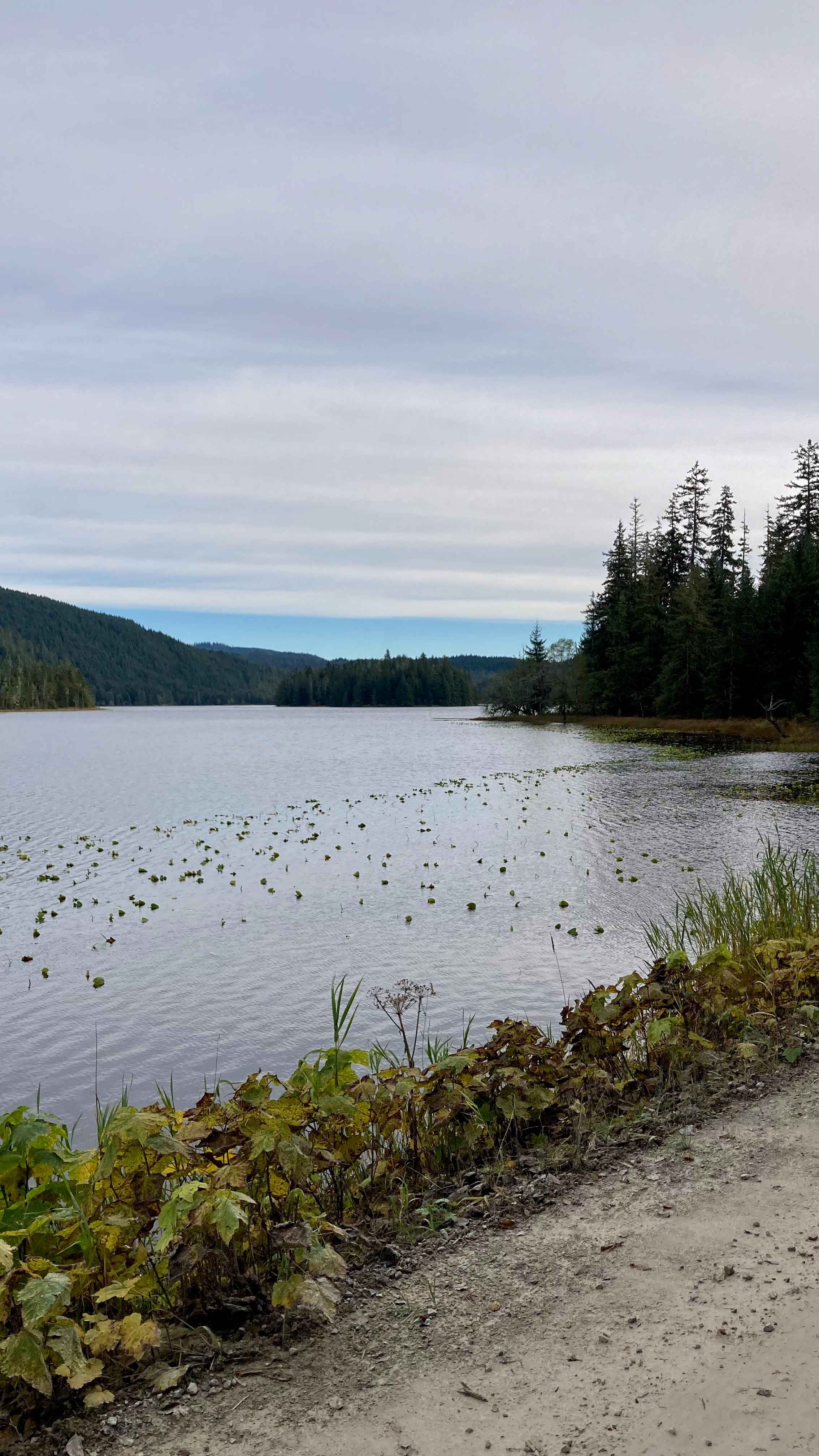 Twin Island Lake - FS 2700000