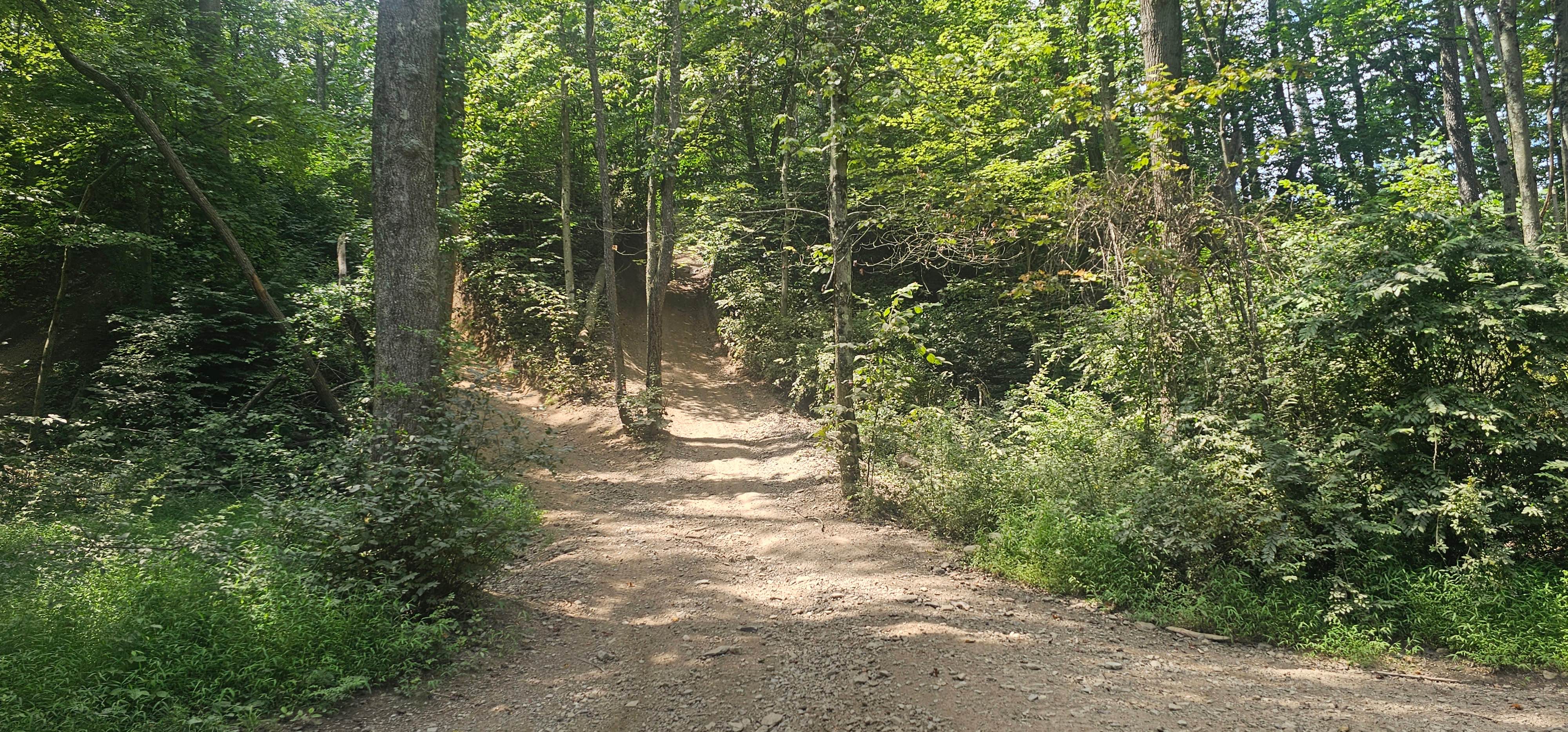 Trail 12