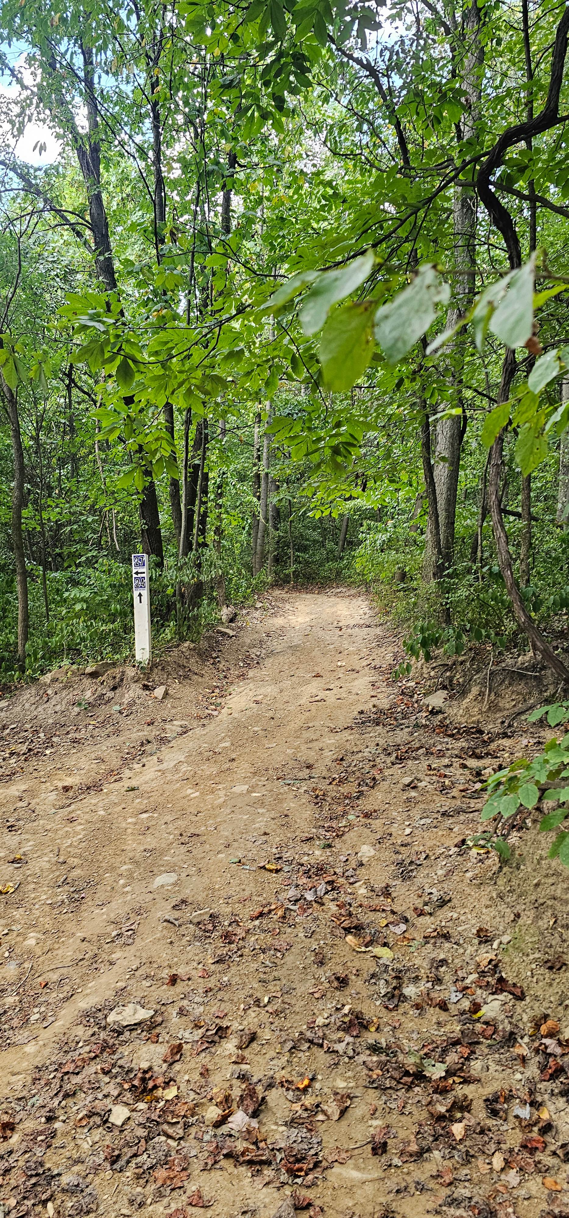 Trail 24