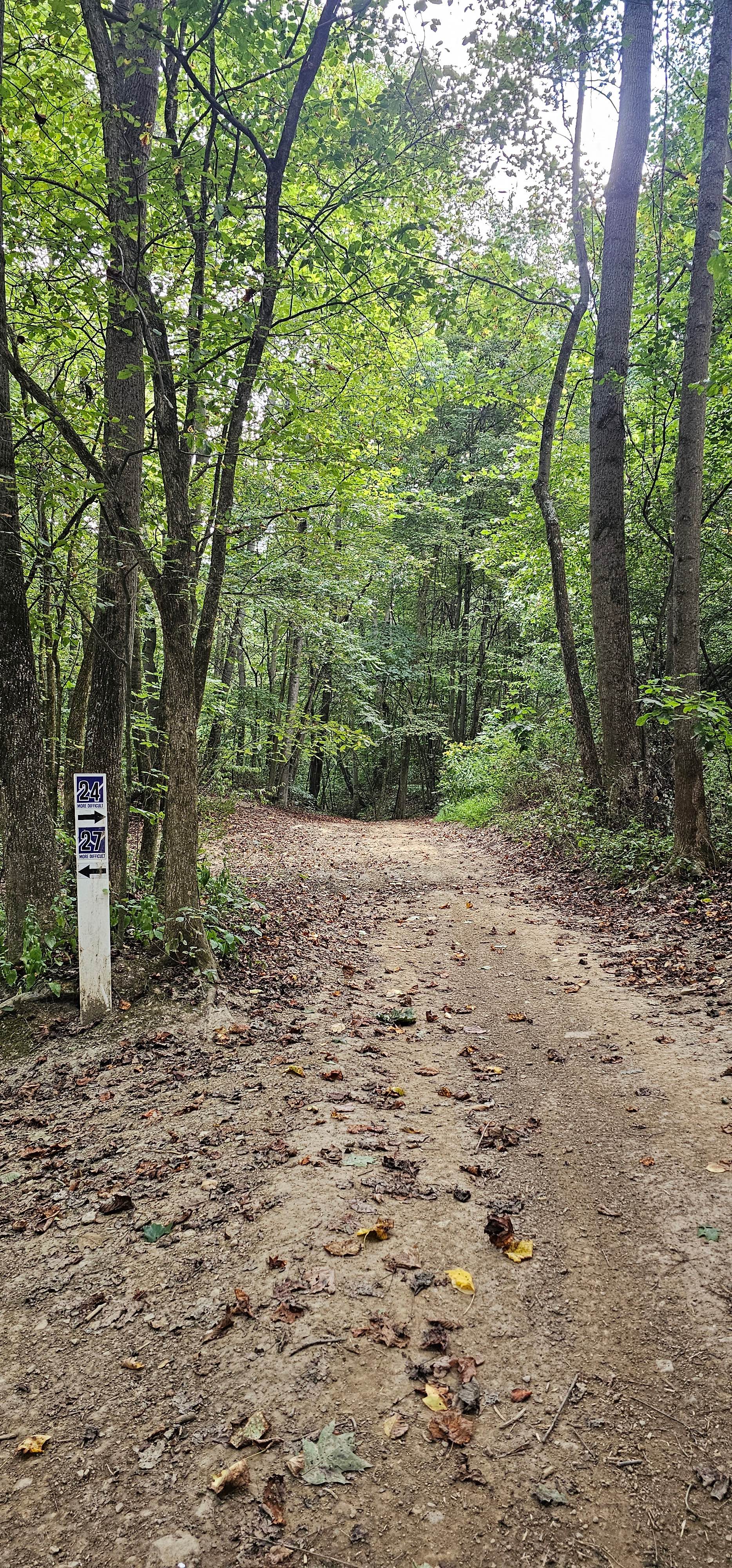 Trail 24