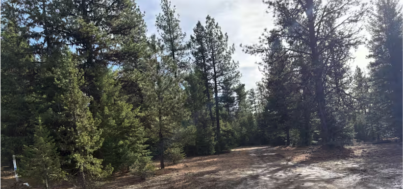 Sharps Ridge - FS 3026