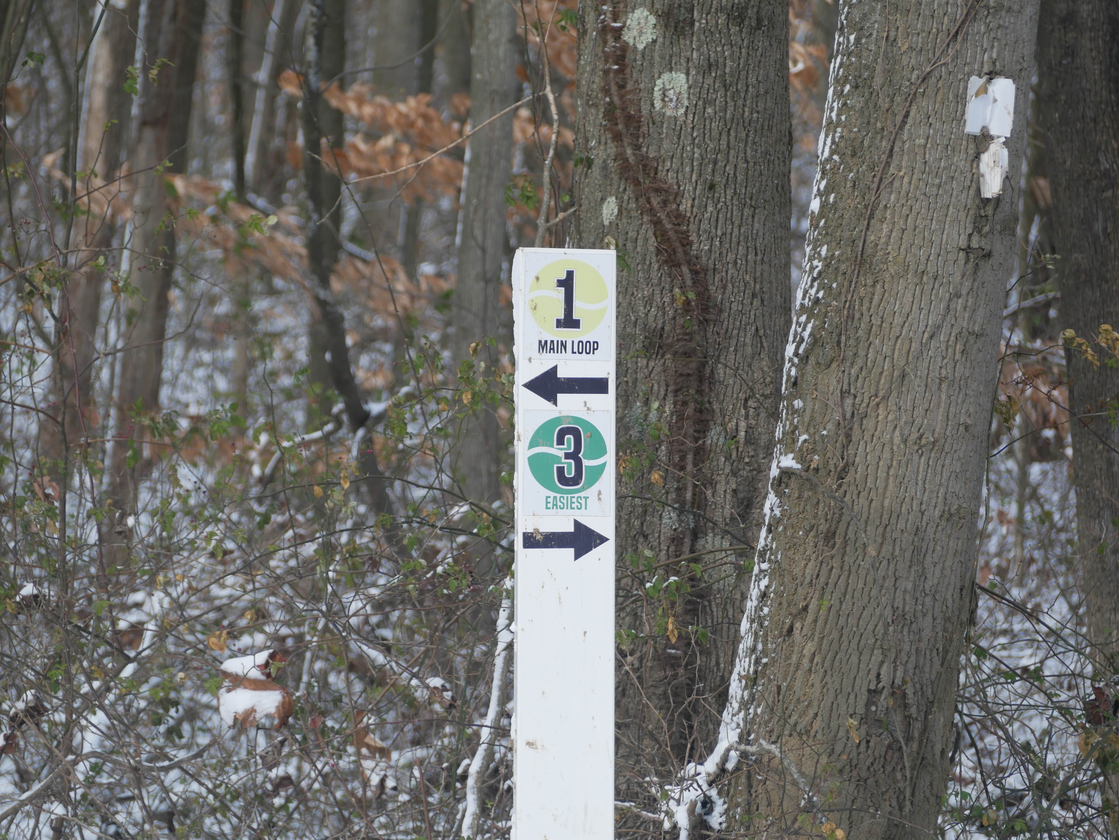 Trail 3
