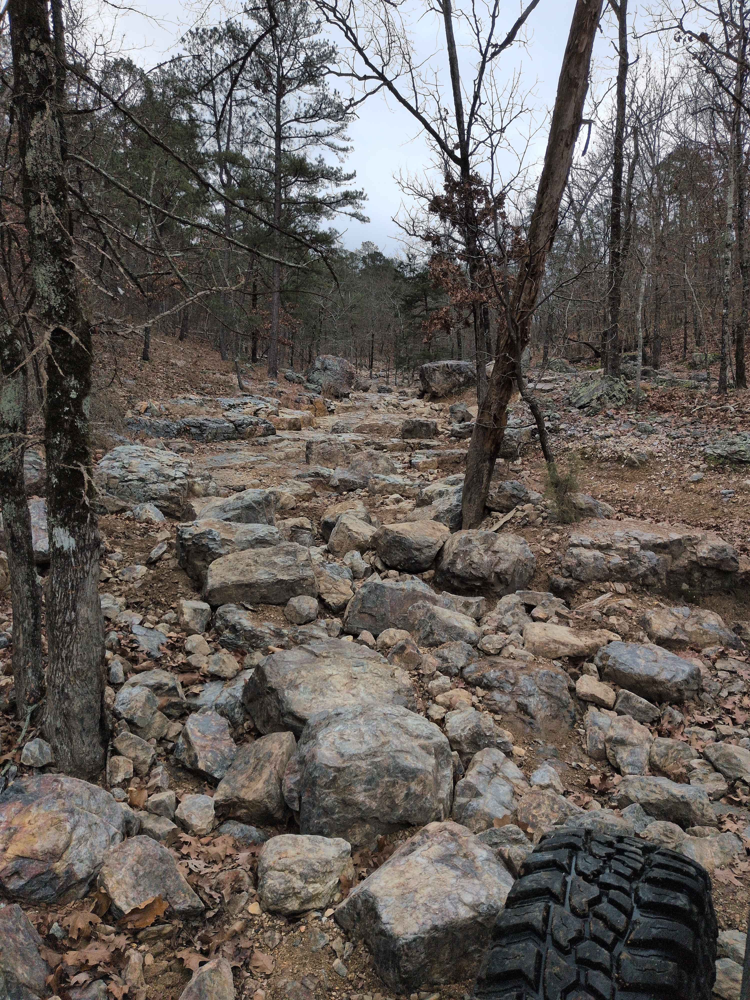 F47 Shaffner's Hollow