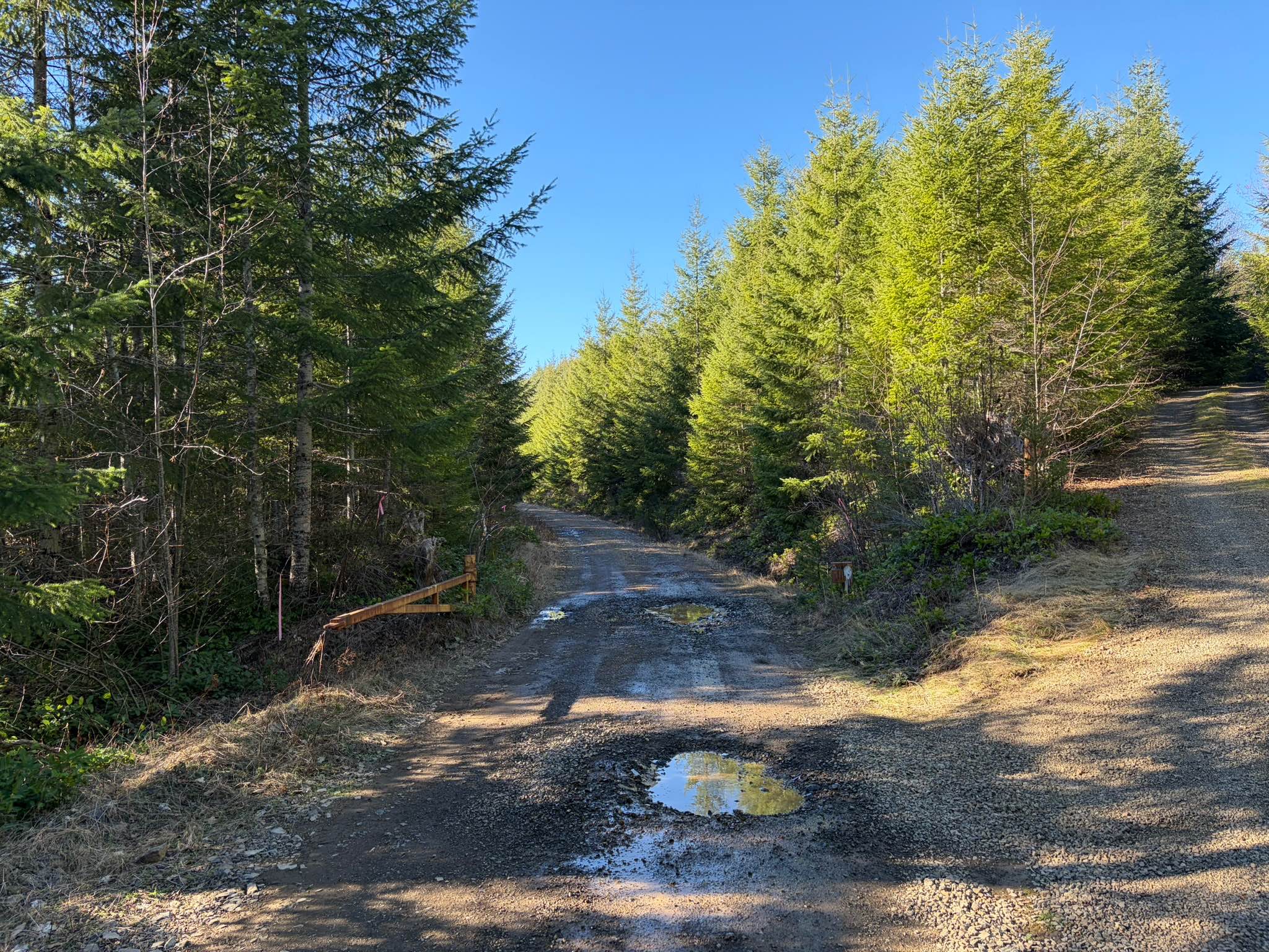 Wolf Creek Road