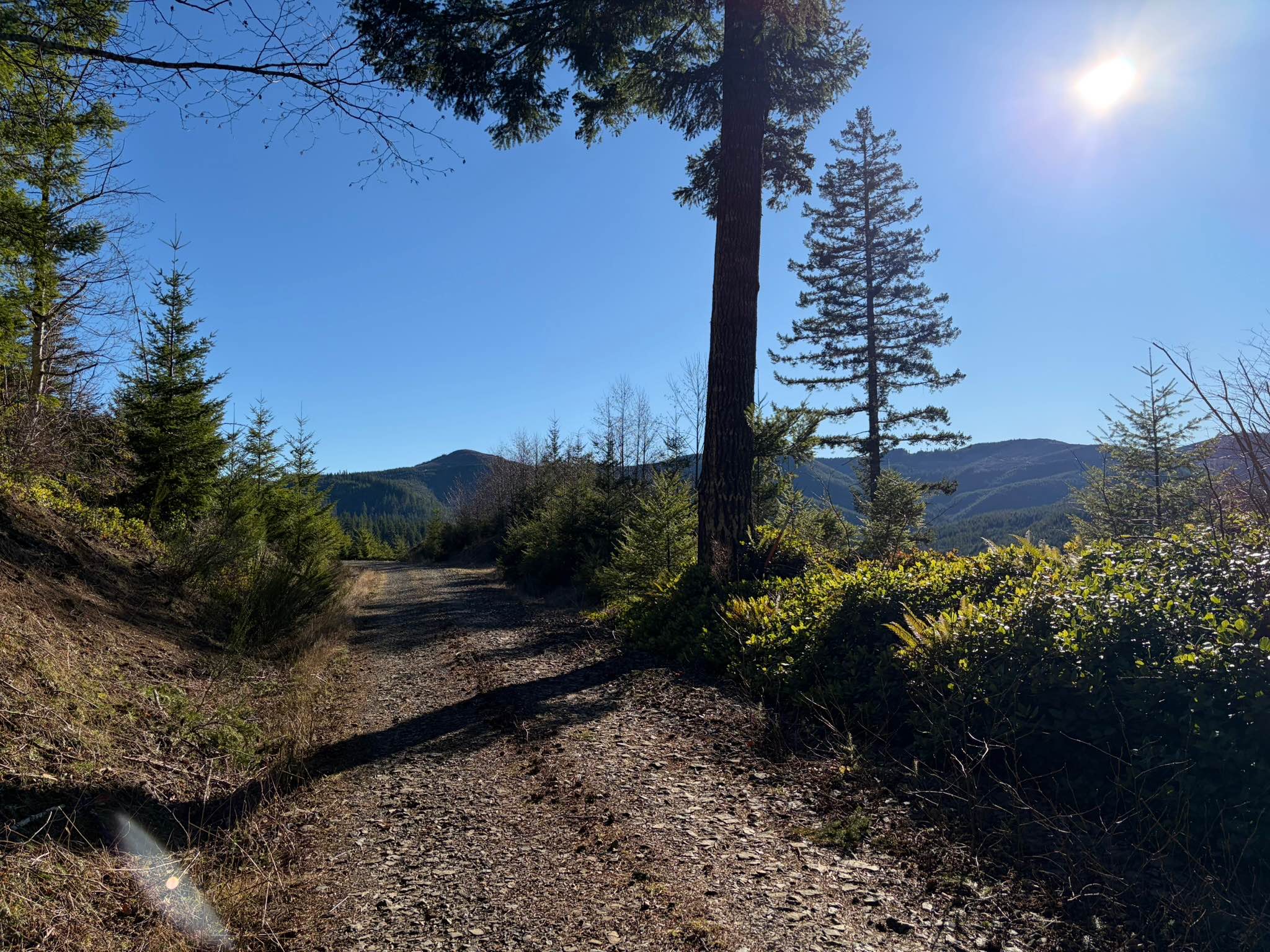 Wolf Creek Road