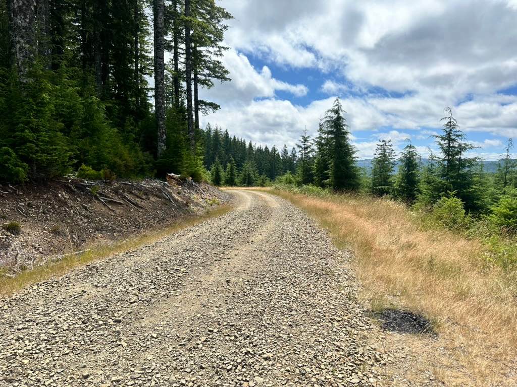 Ellis / Fire Road Crossover