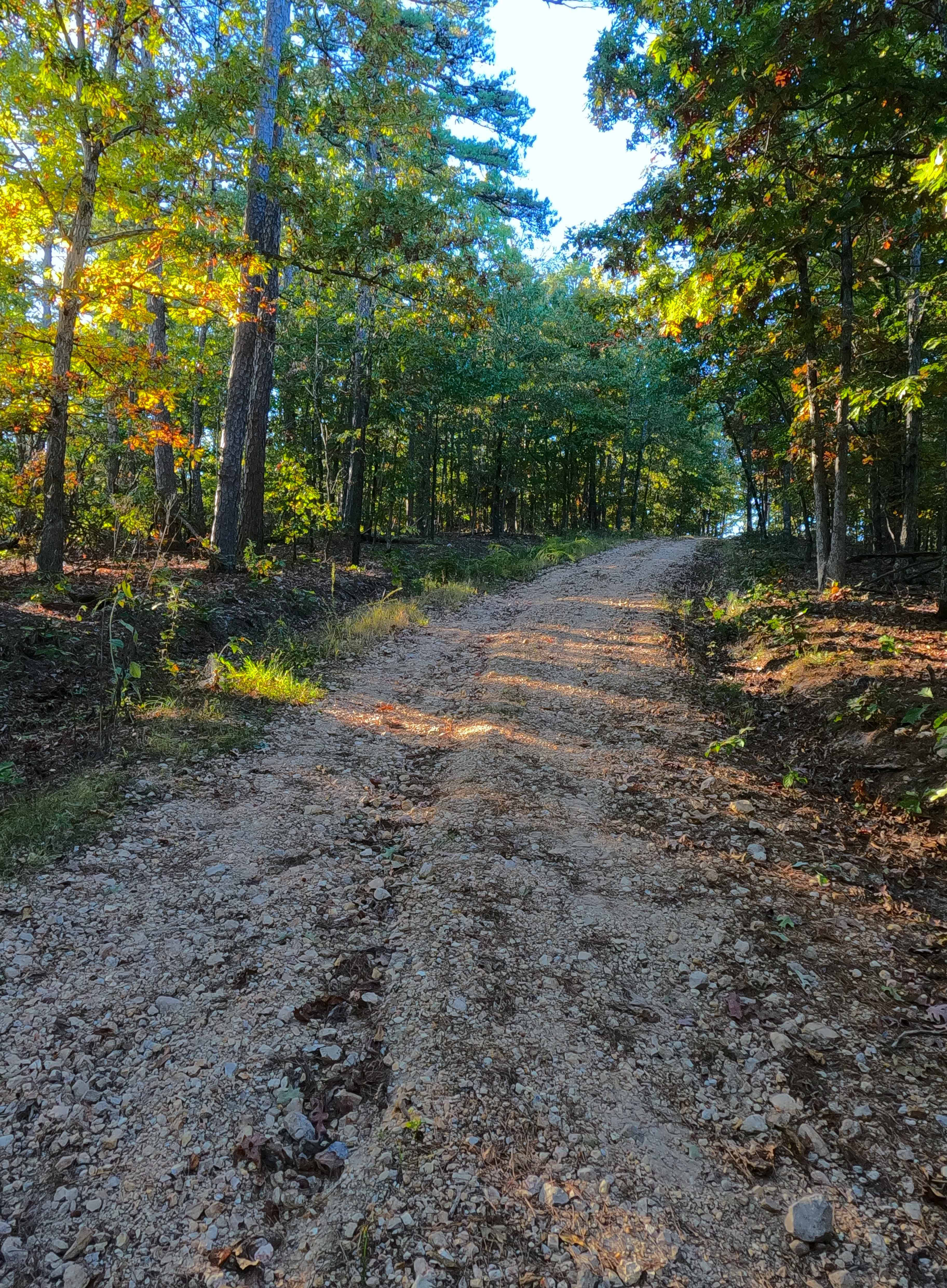 New Prospect - FS 3813