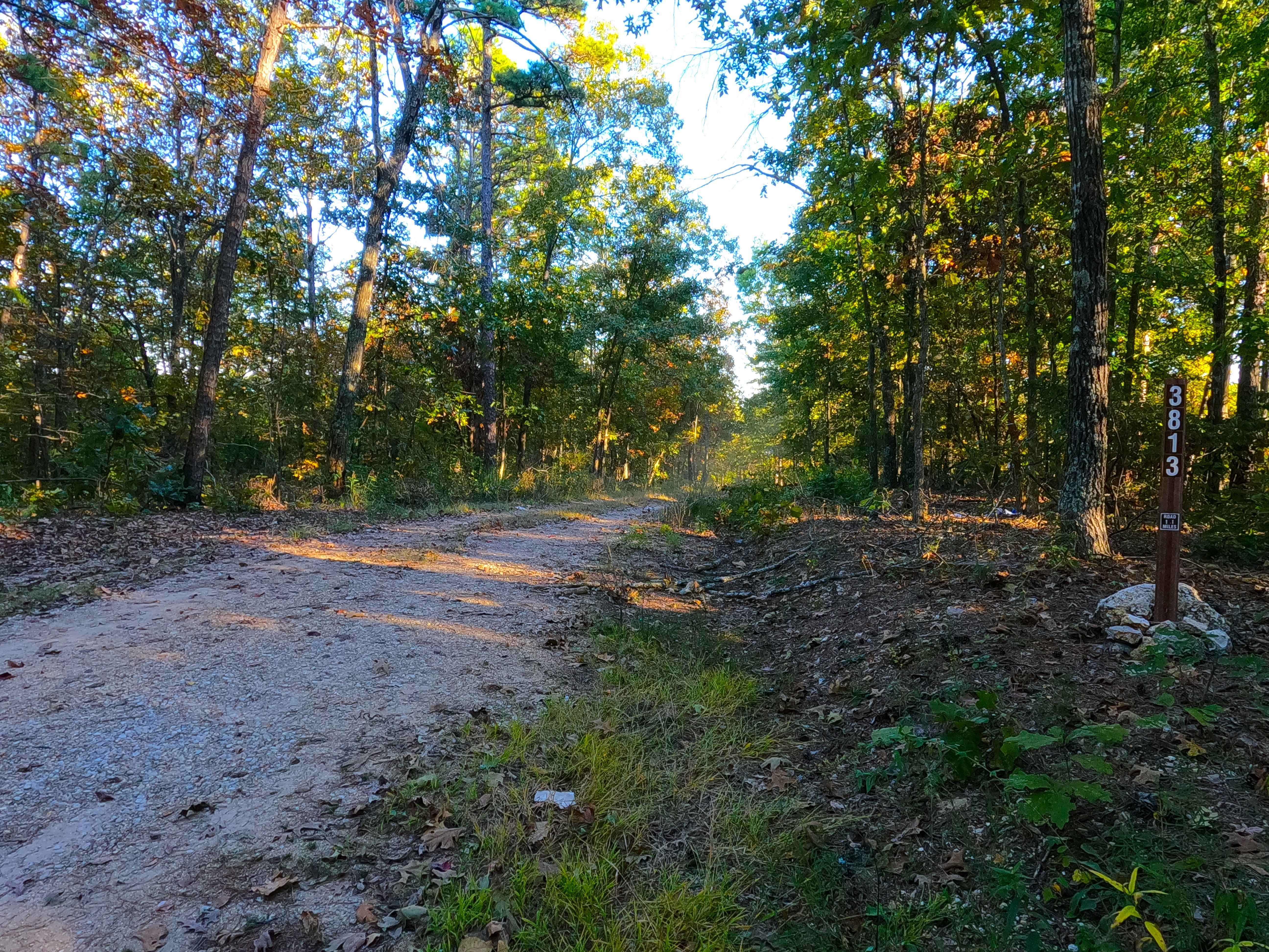 New Prospect - FS 3813