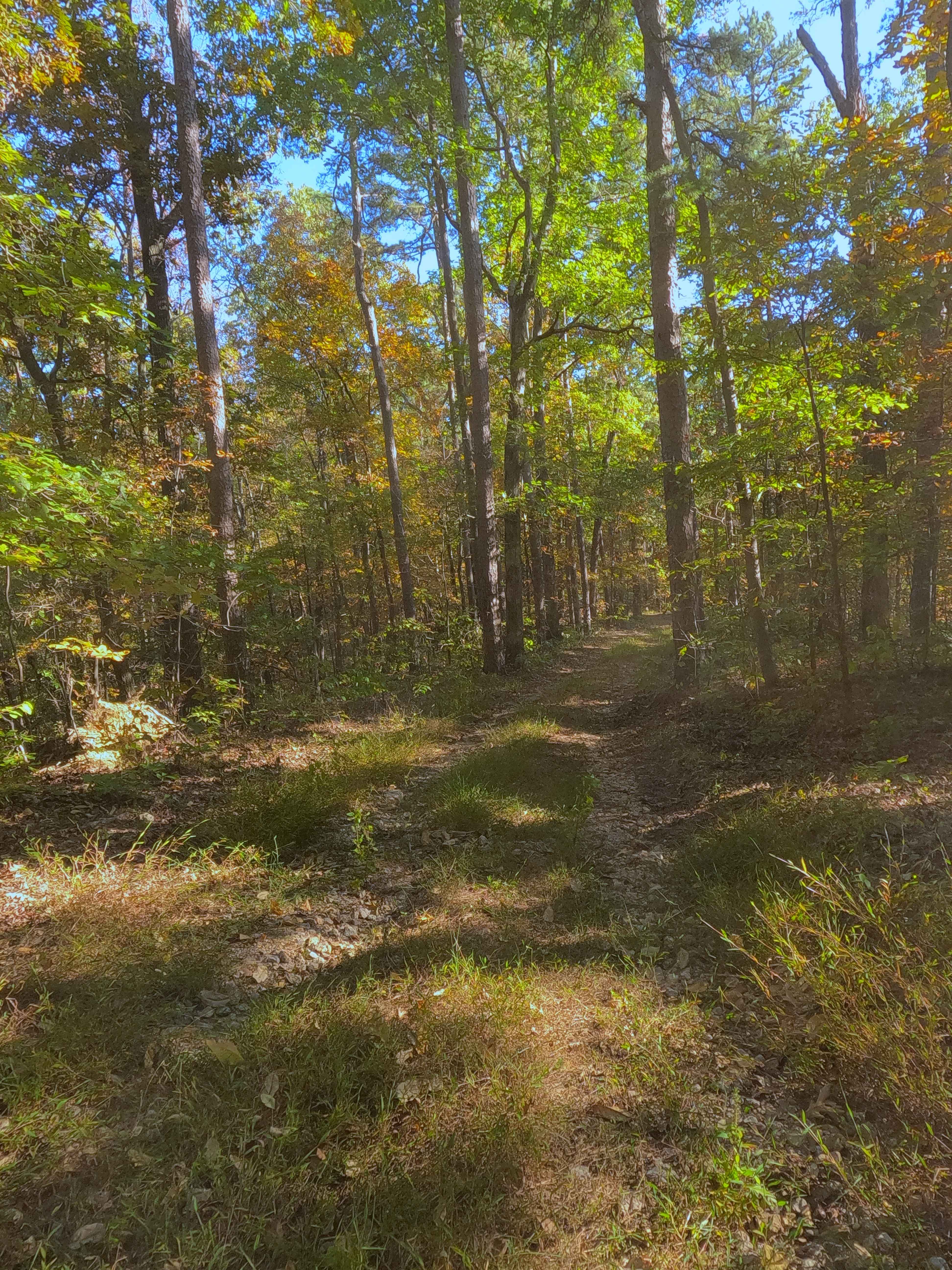 Prospect B - FS 3813B