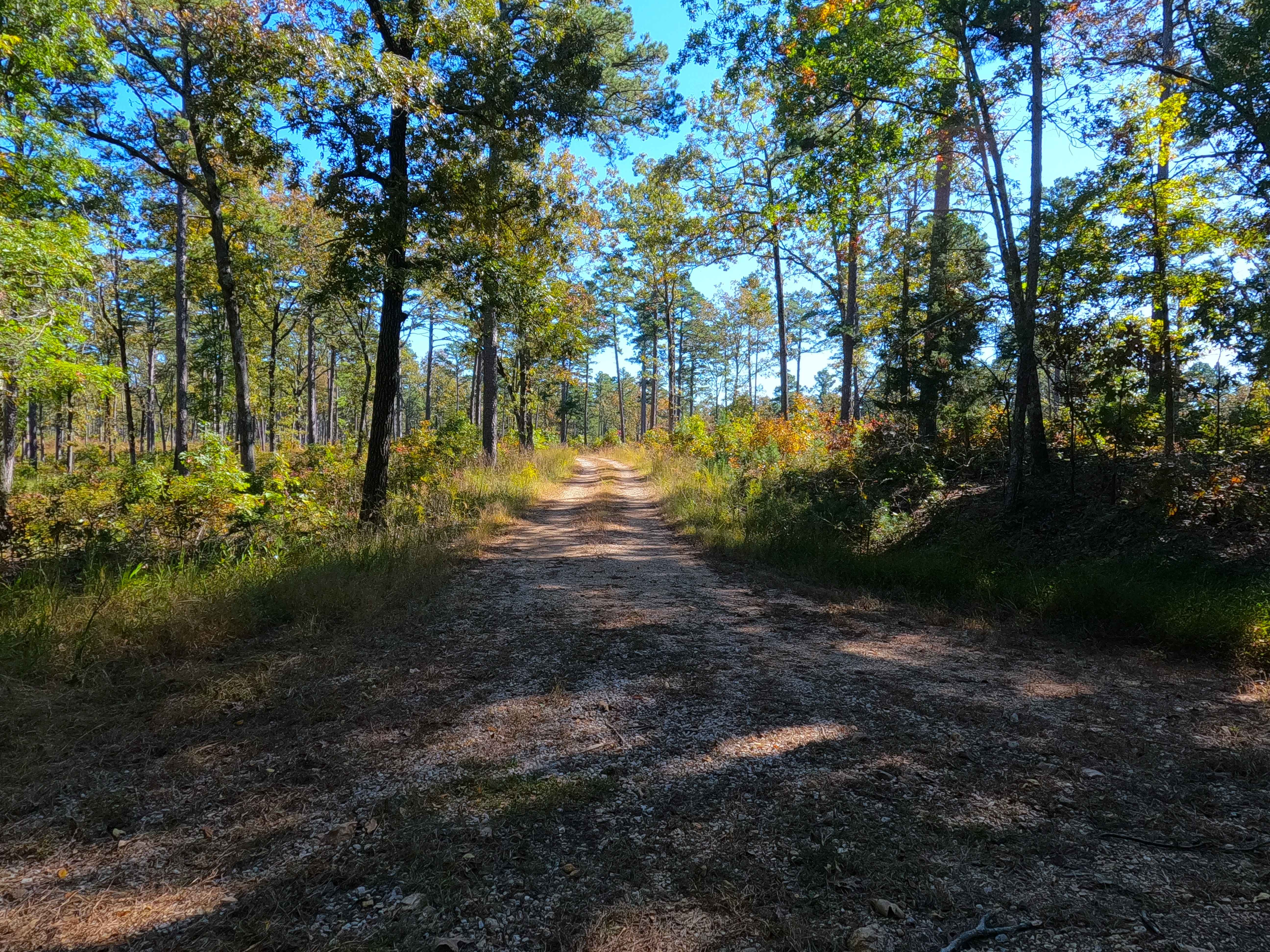 High Ridge - FS 3750