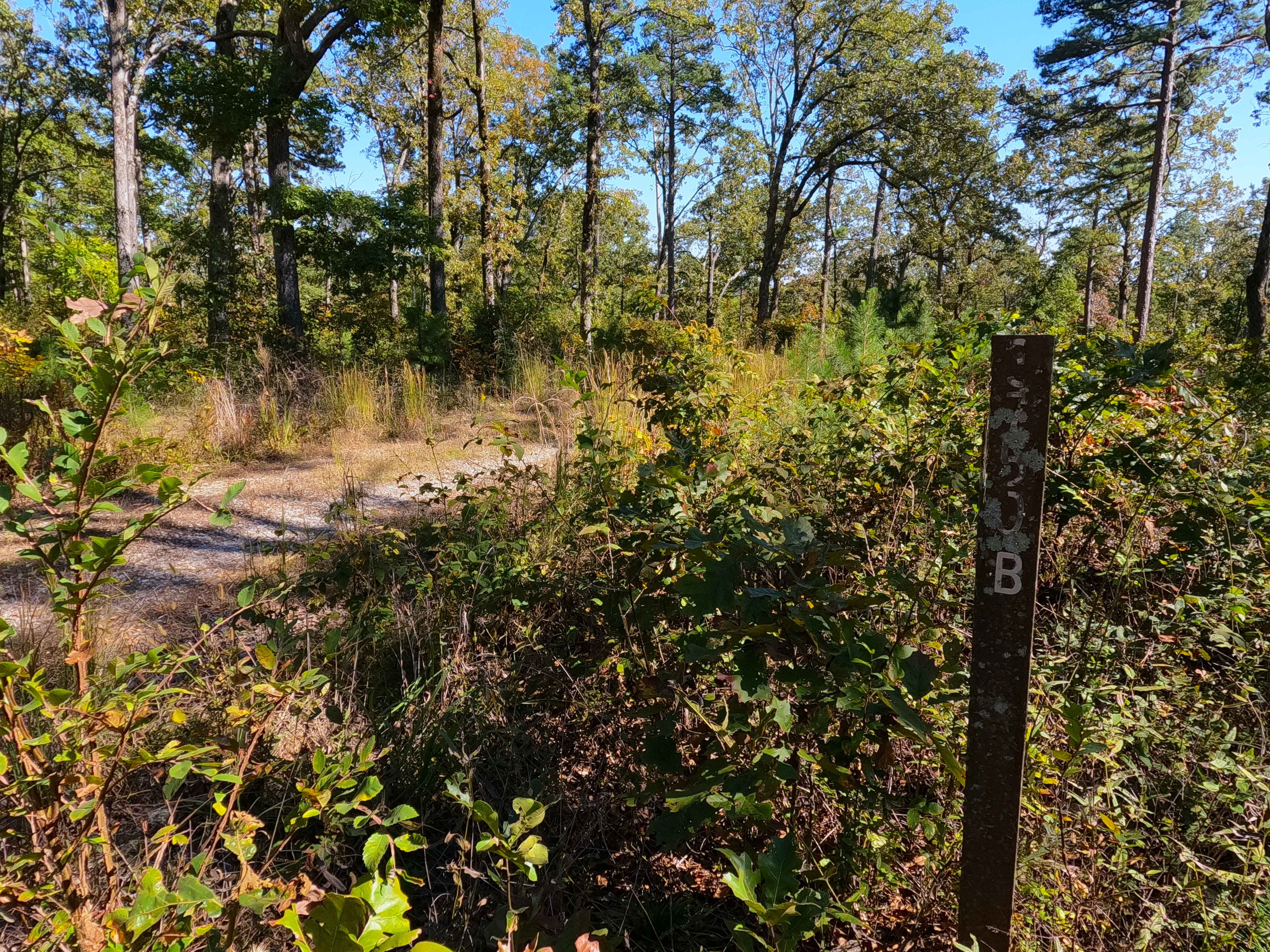 Miller Creek - FS 3750B
