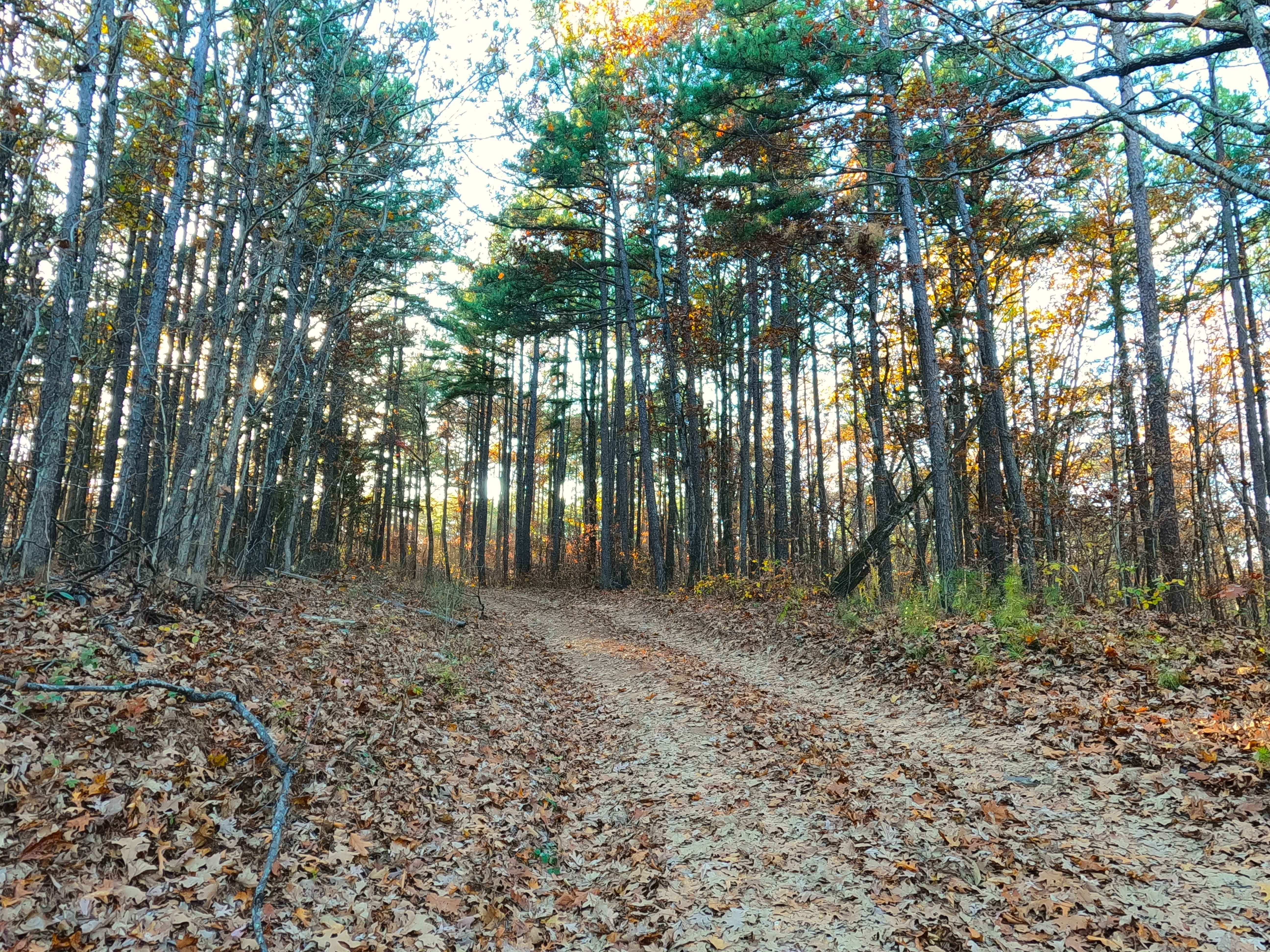 Indian Creek Church - FS 2523