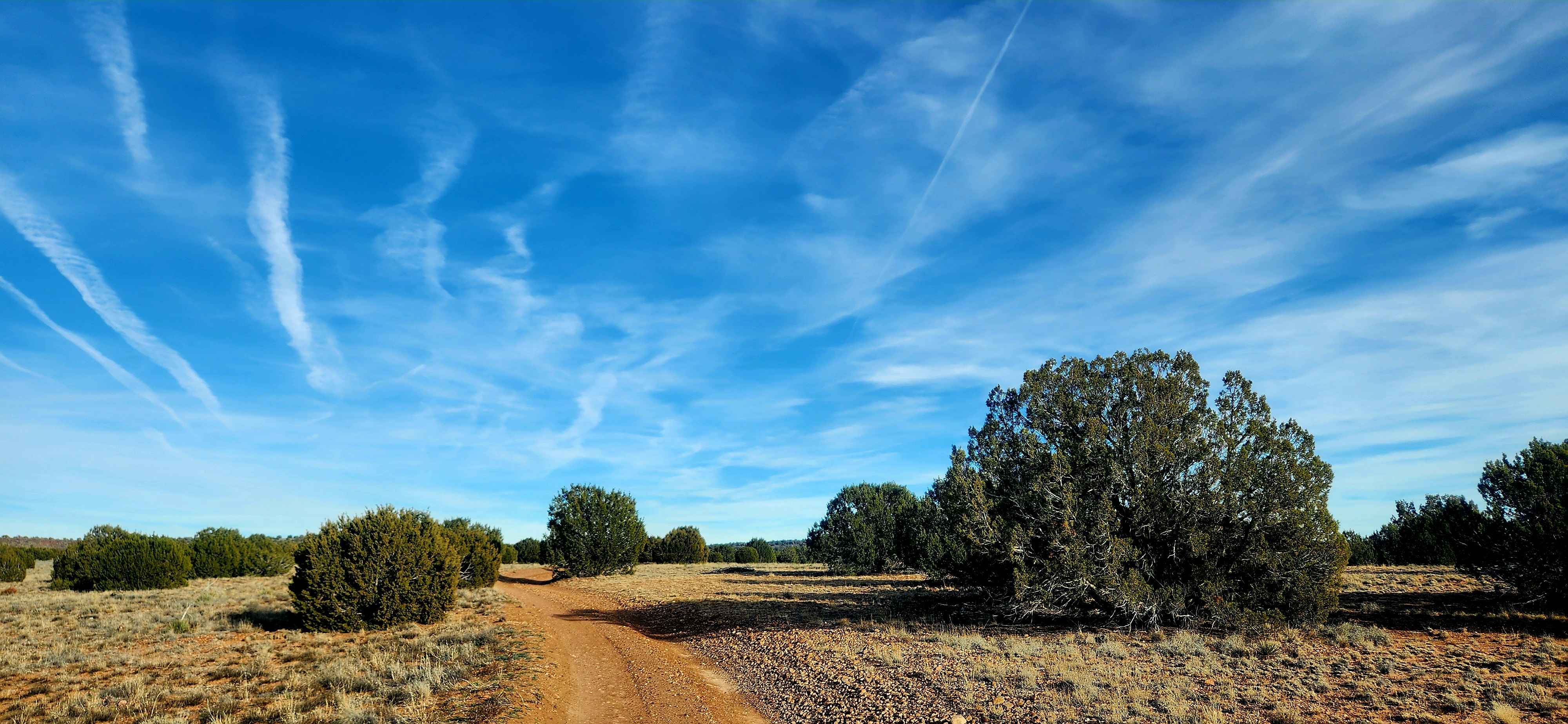 Thistle Hollow - FS 229