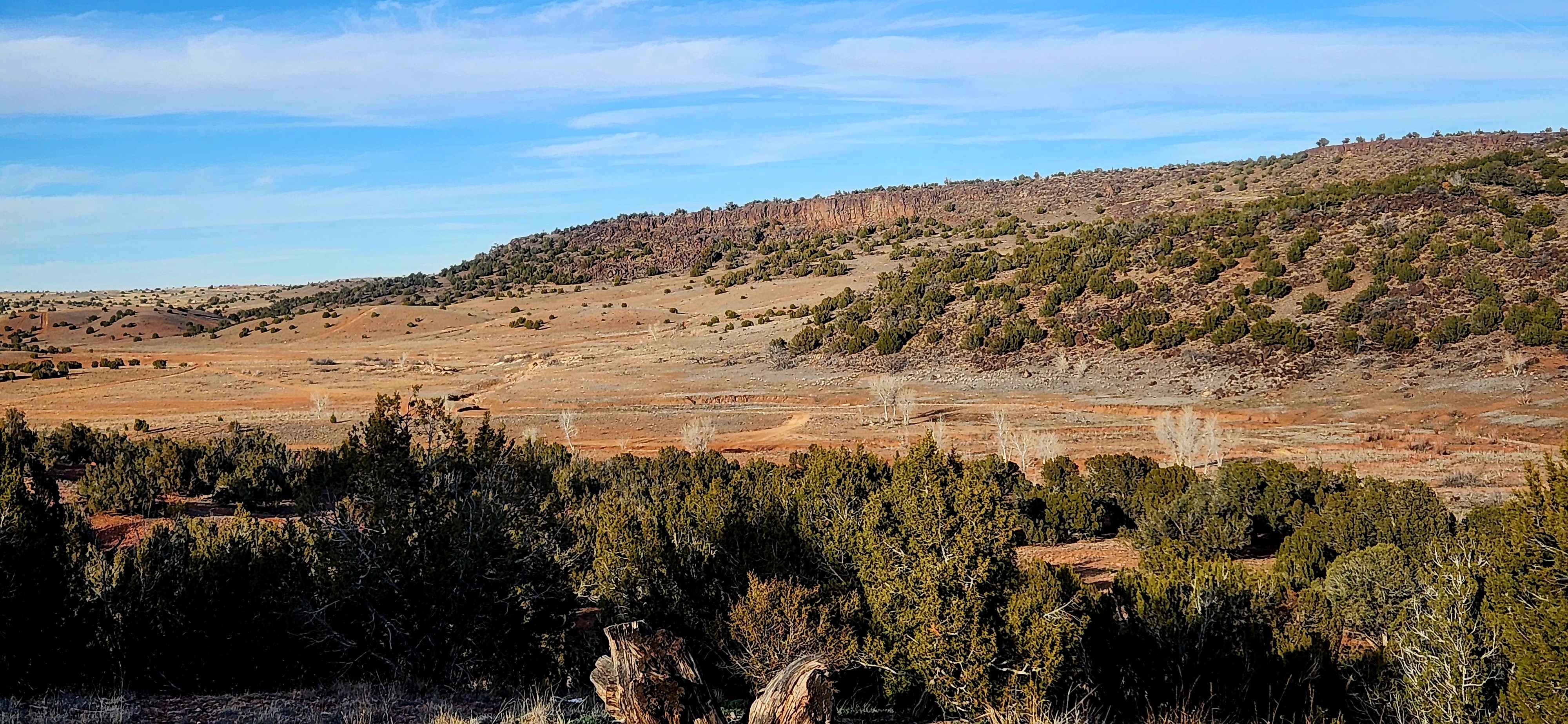 Thistle Hollow - FS 229