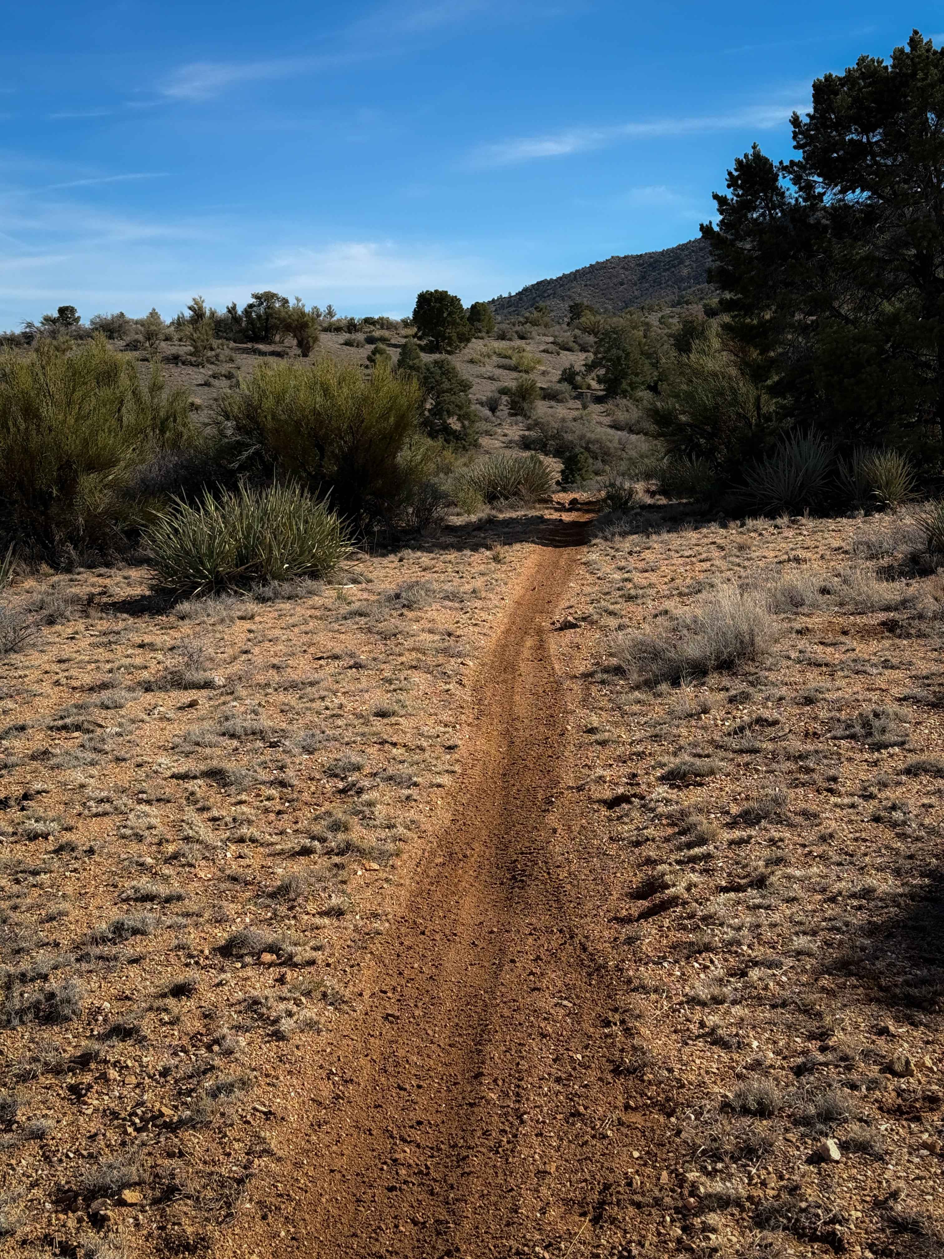 Hualapai Singletrack