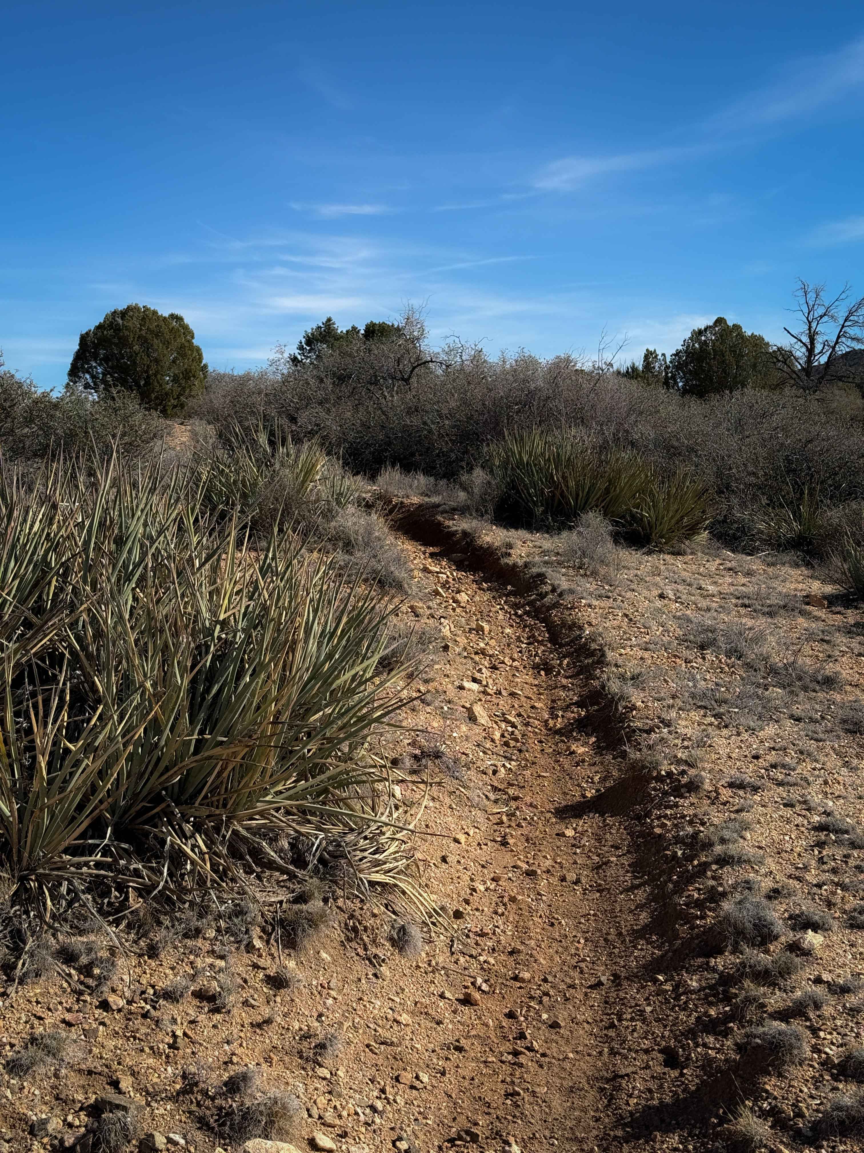 Hualapai Singletrack