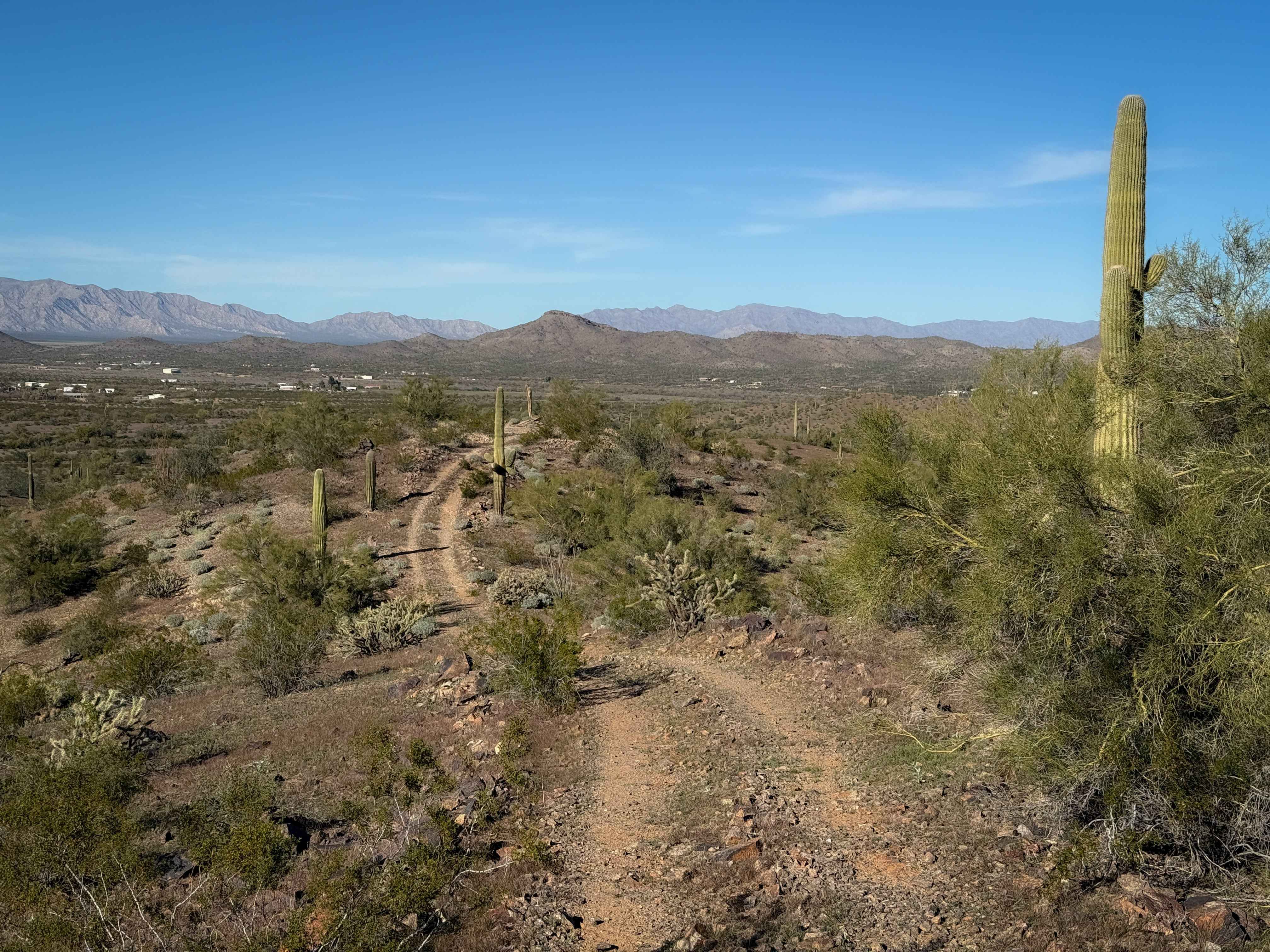 Saguaro Ridge