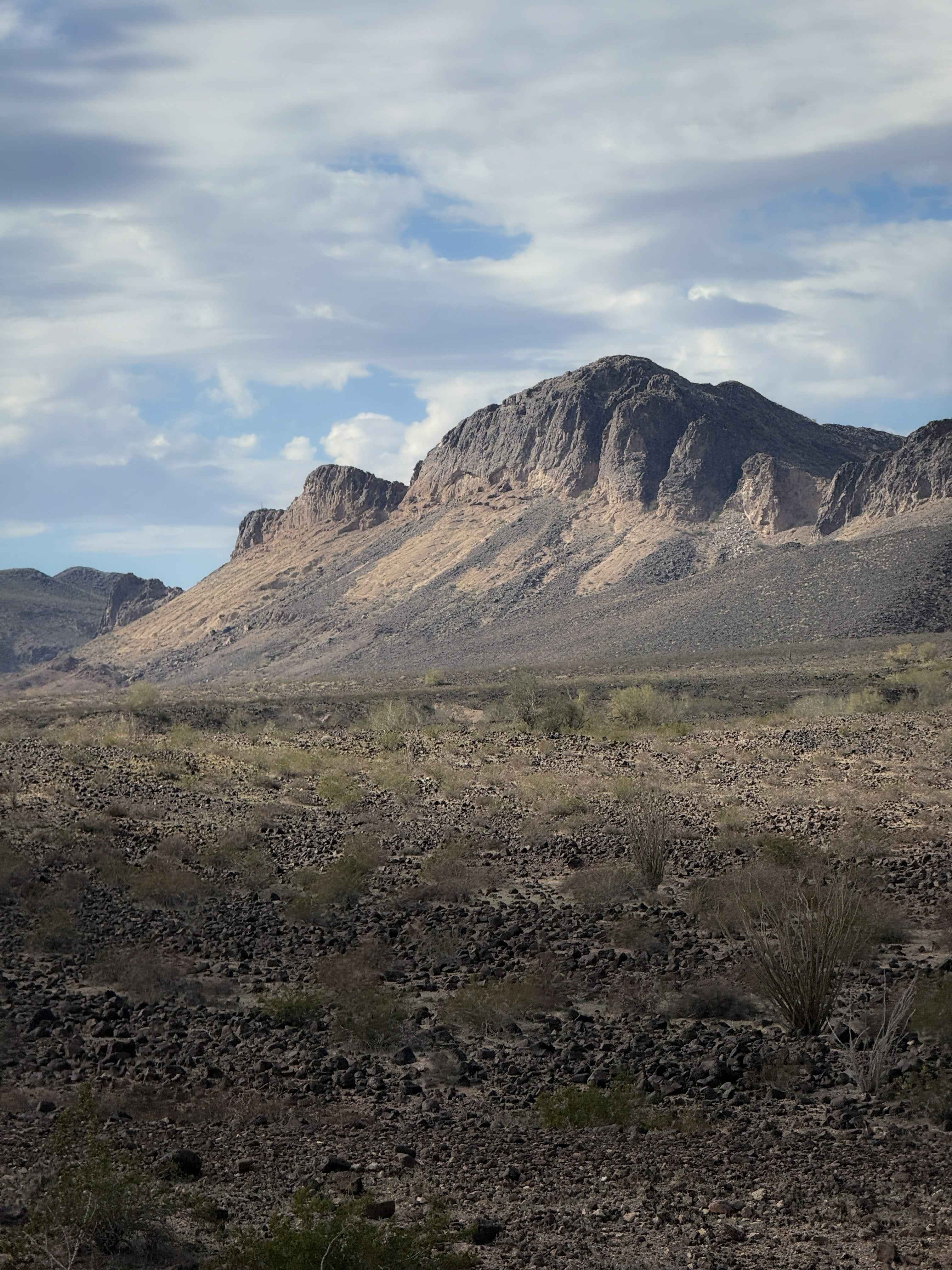 Sonoran Desert Flats