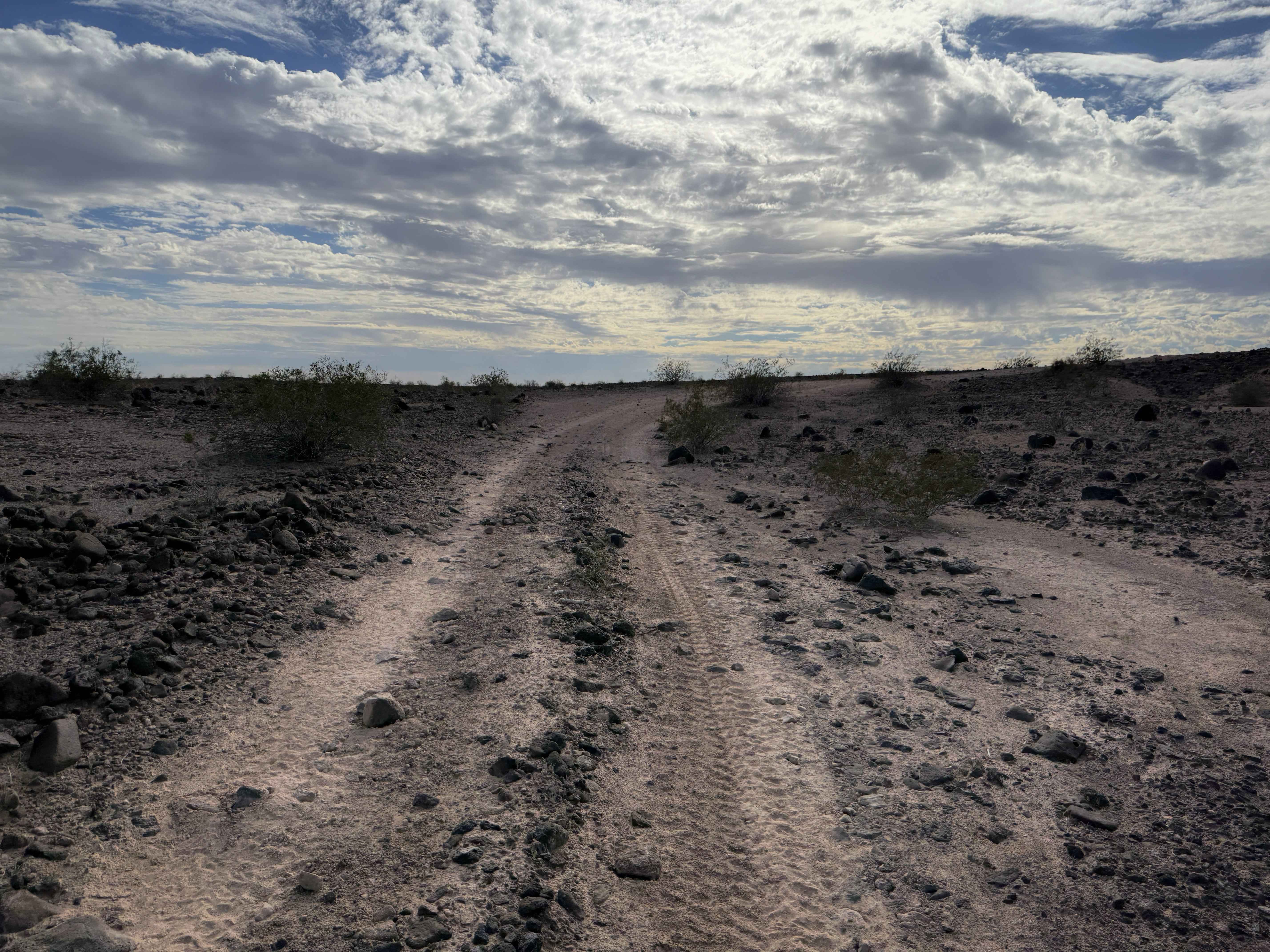 Sonoran Desert Flats