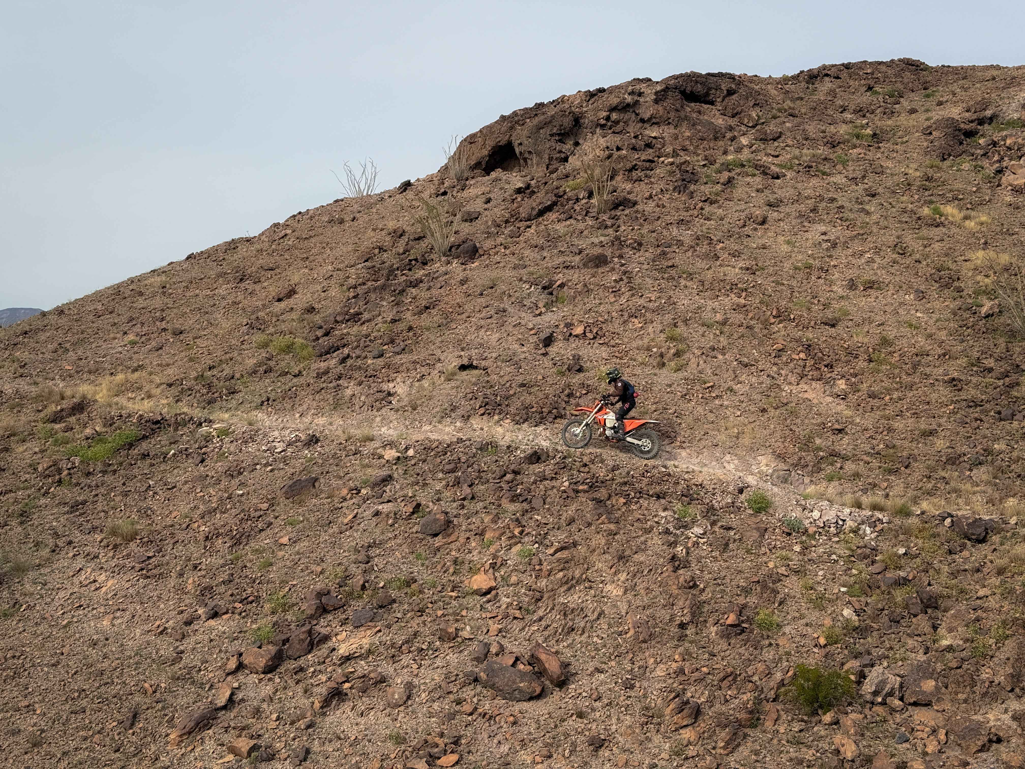 West Side (Moderate)