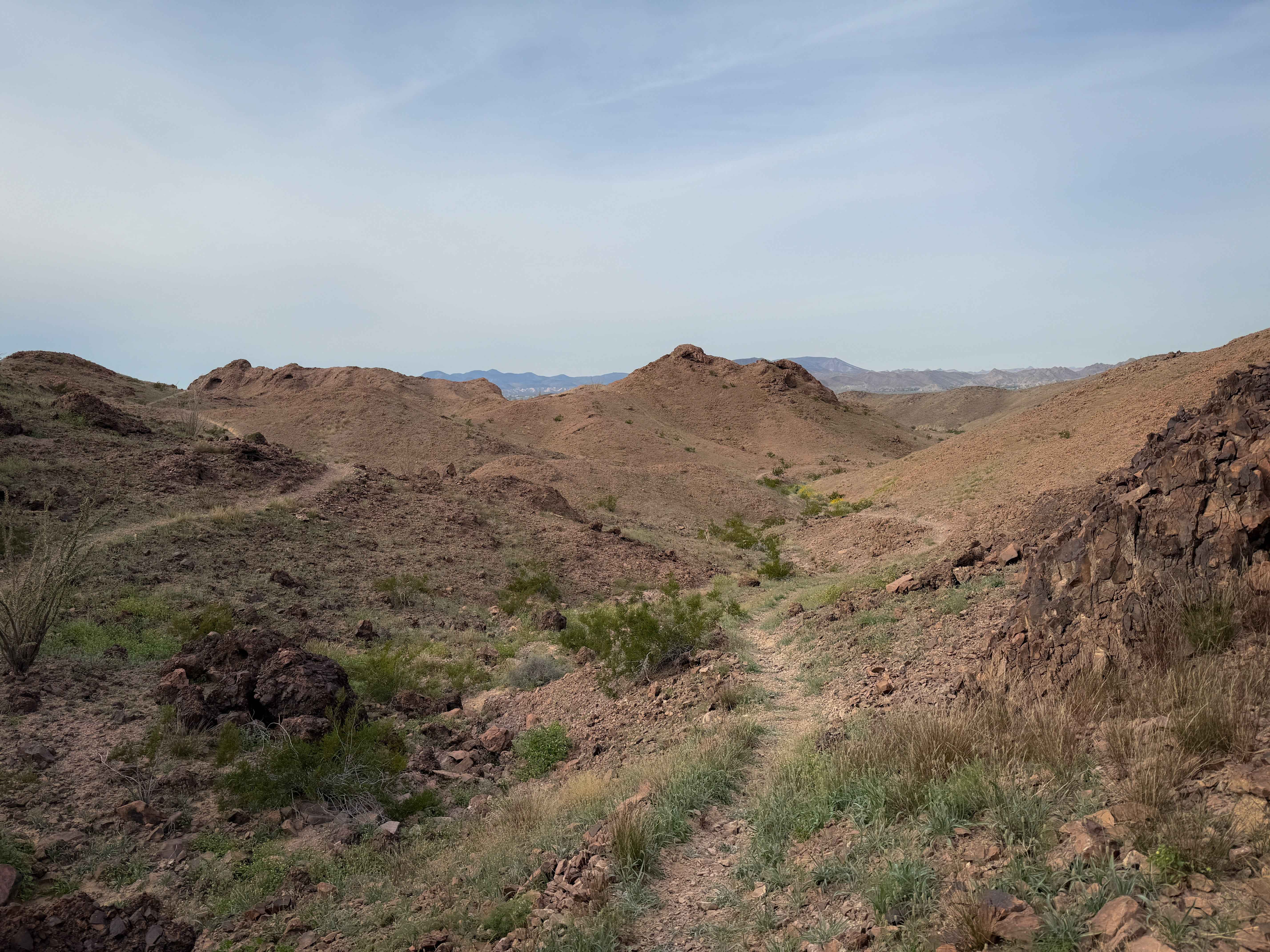 West Side (Moderate)