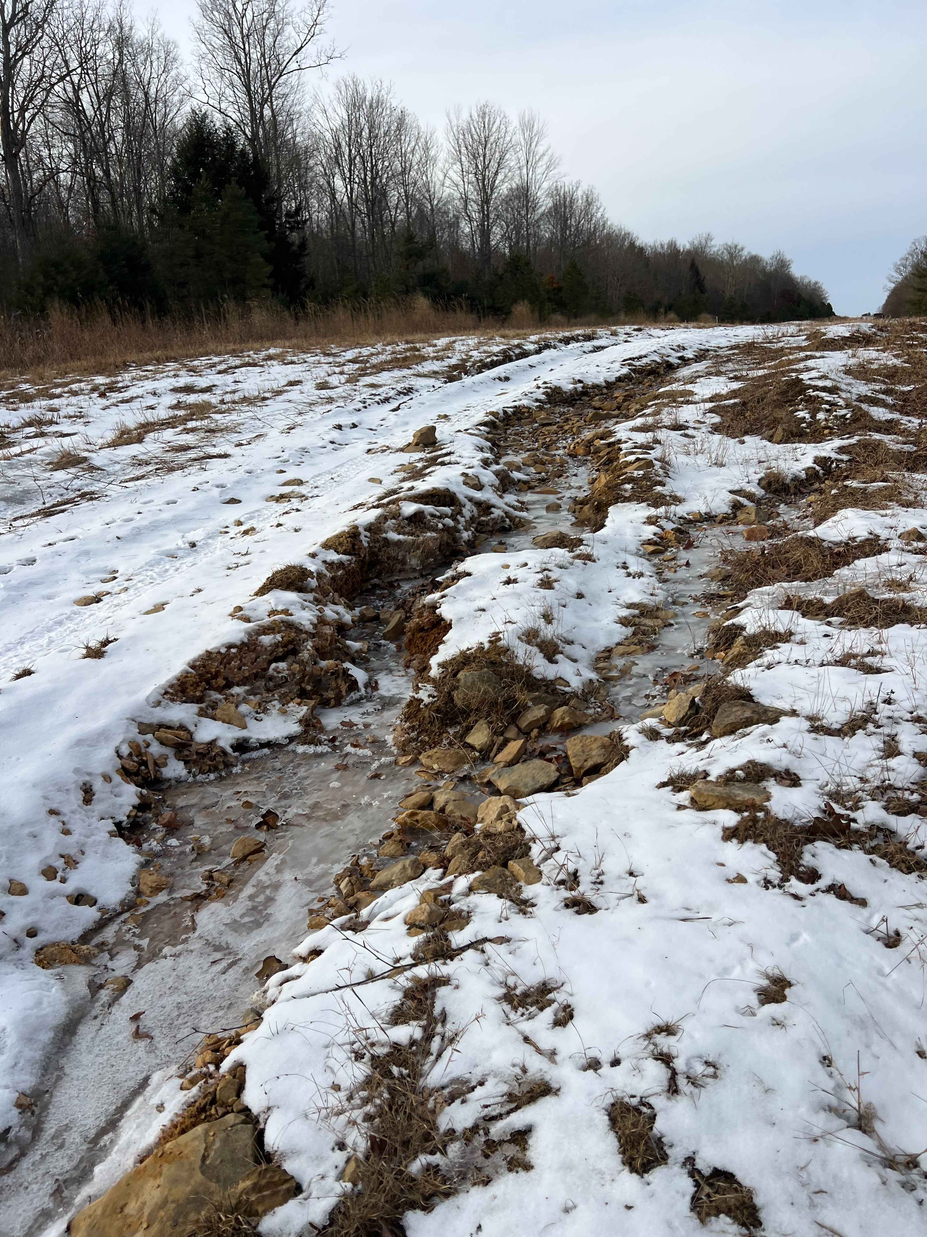 Dehaas Line Trail