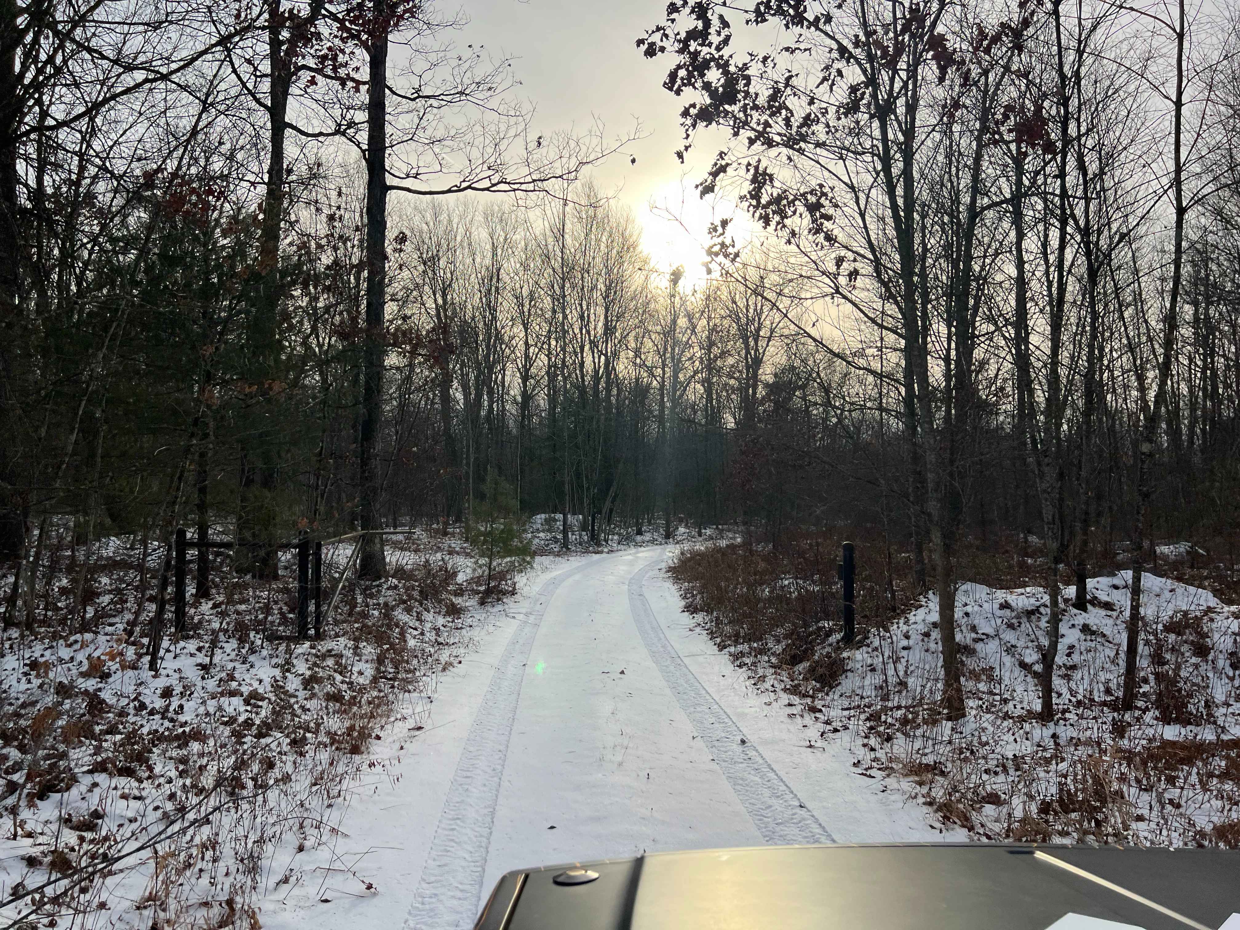 Dehaas Line Trail