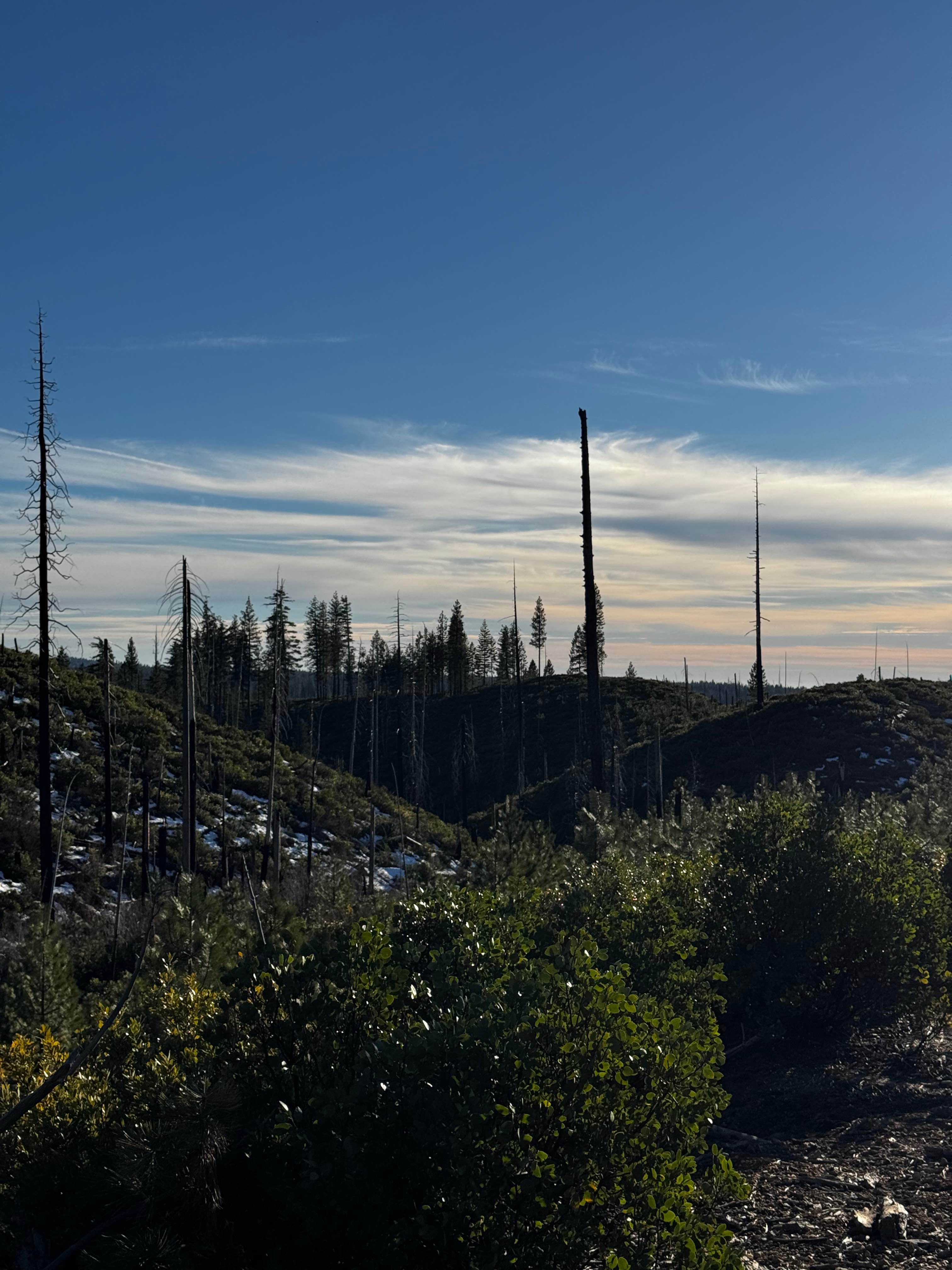 American Hill Mine Spur