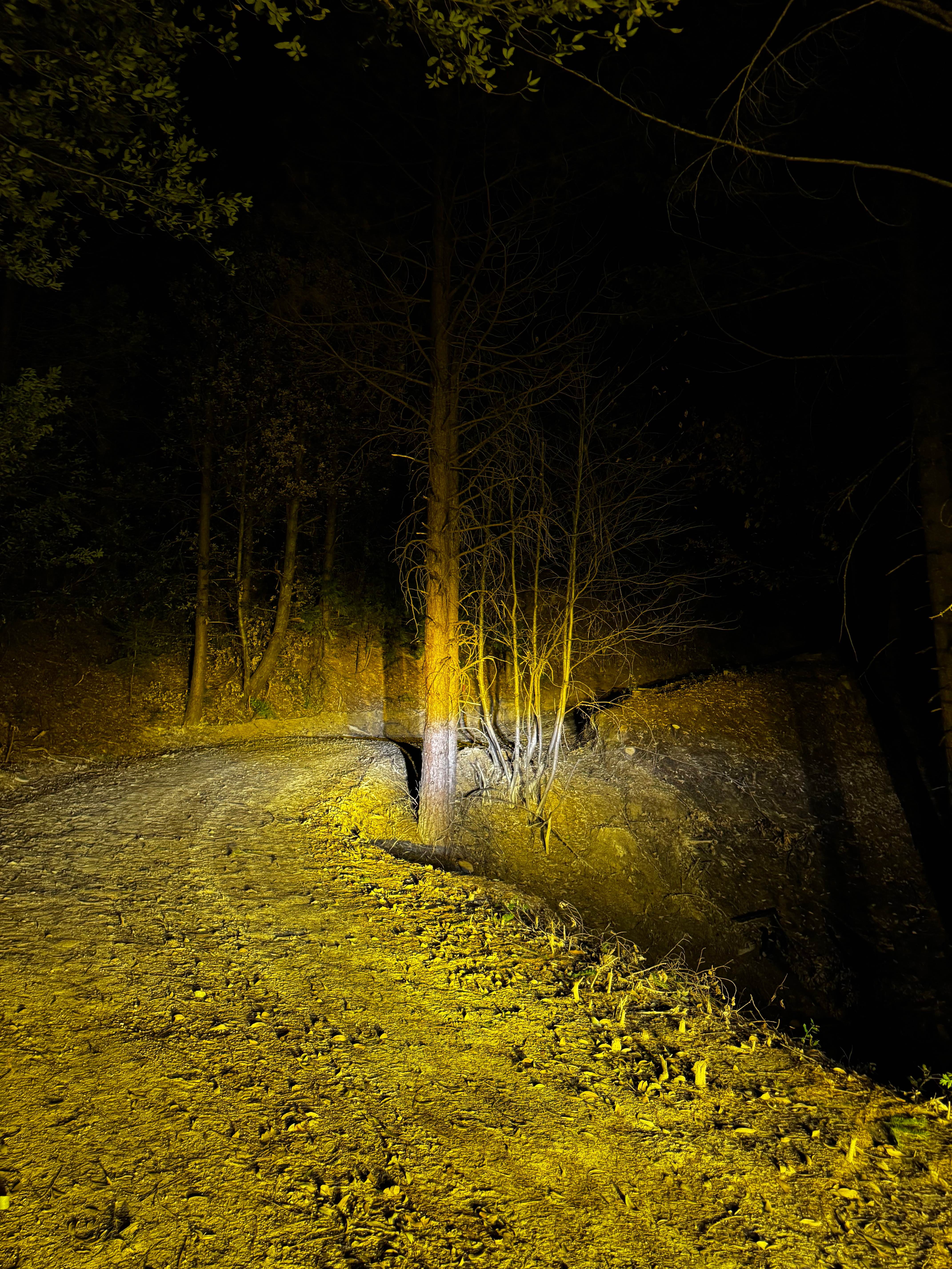 Indian Creek Connector